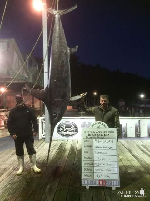 Broardbill swordfish NewZealand