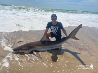 Bronze Whaler Shark Fishing Namibia