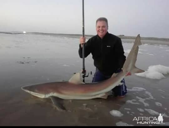 Bronze Whaler Shark Fishing Namibia