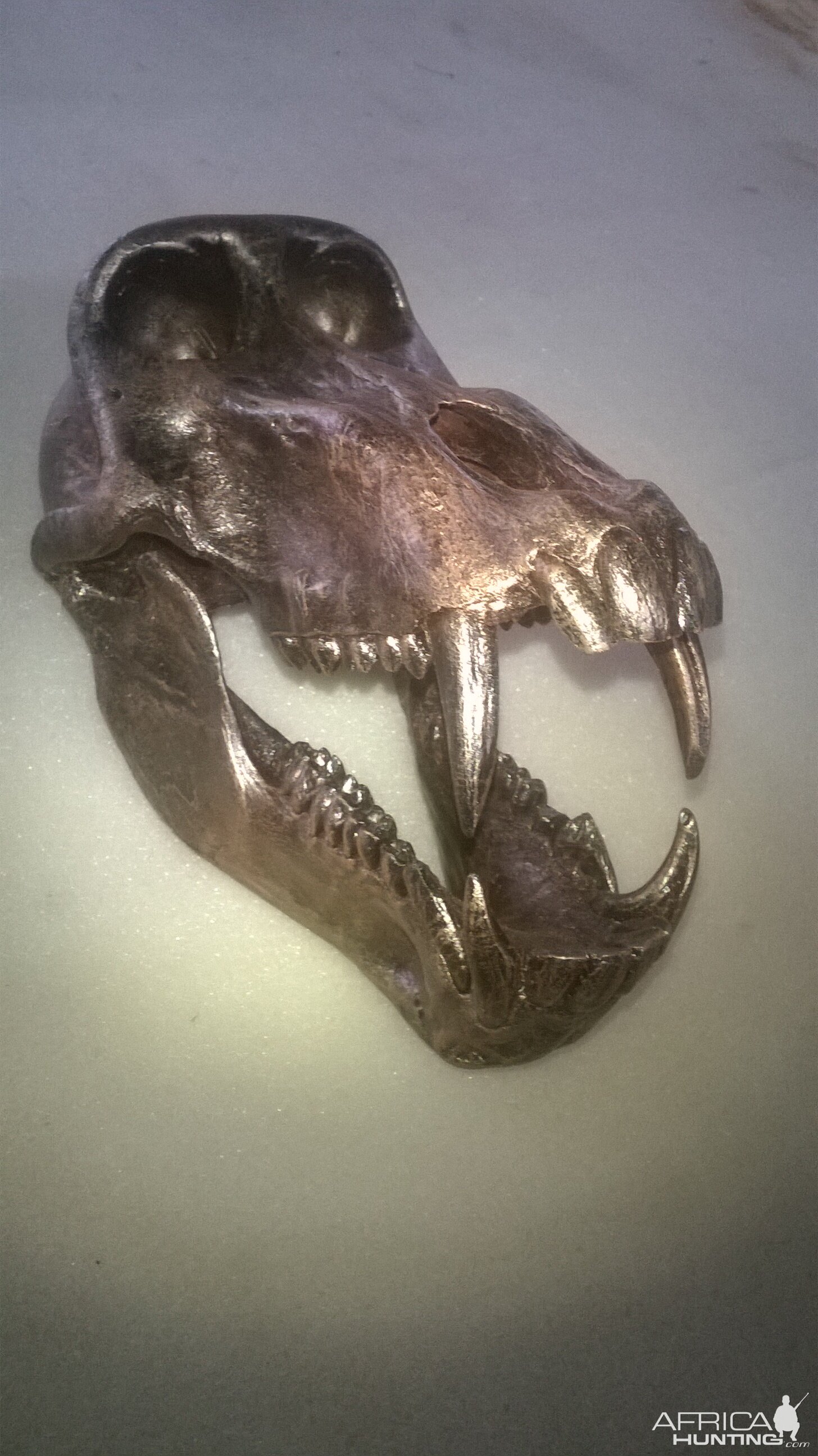 Bronzed Baboon Skull Mount Taxidermy