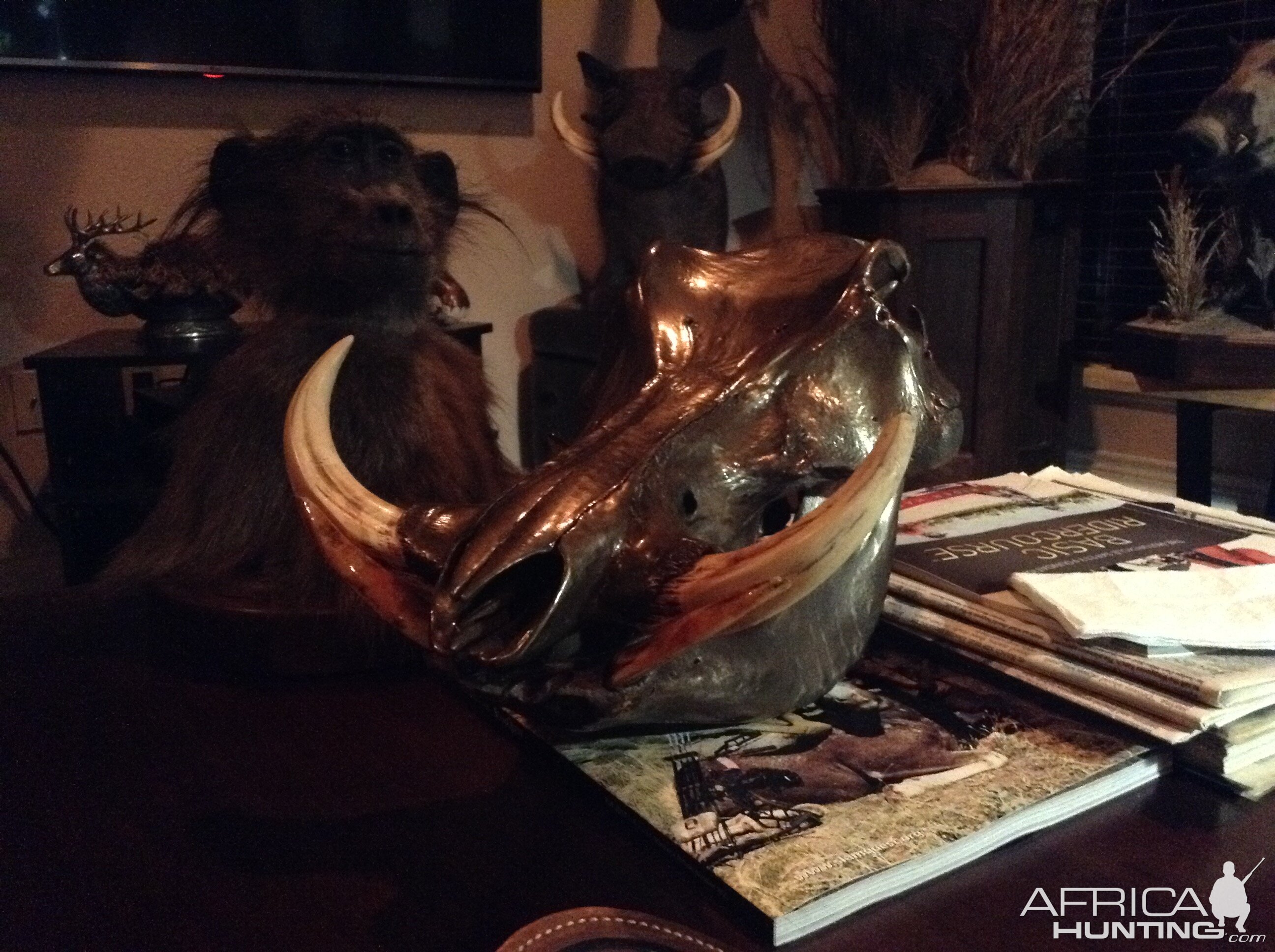 Bronzed Warthog Skull