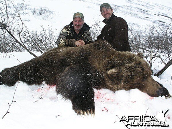 Brown Bear Hunt Alaska