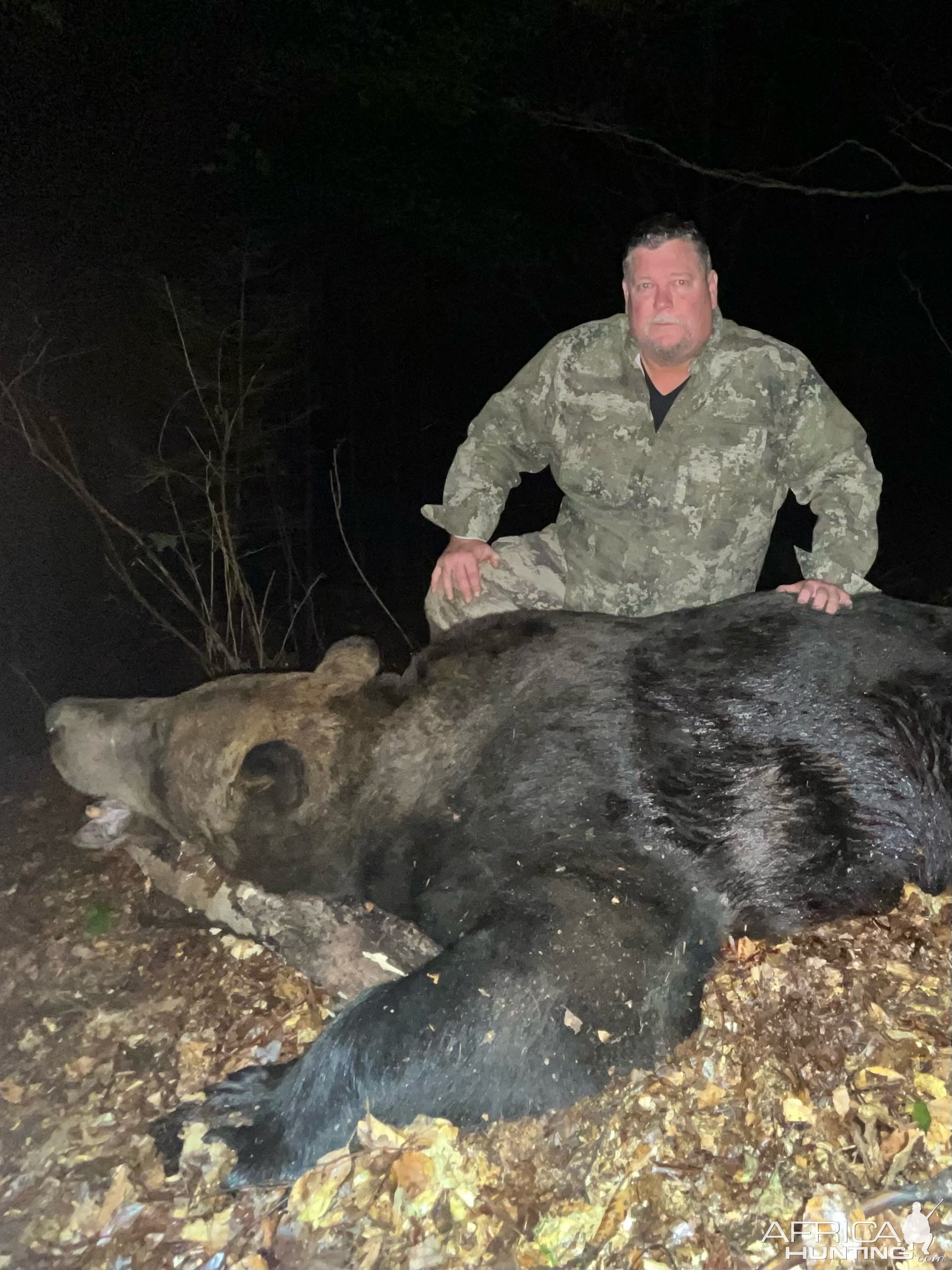 Brown Bear Hunt Romania