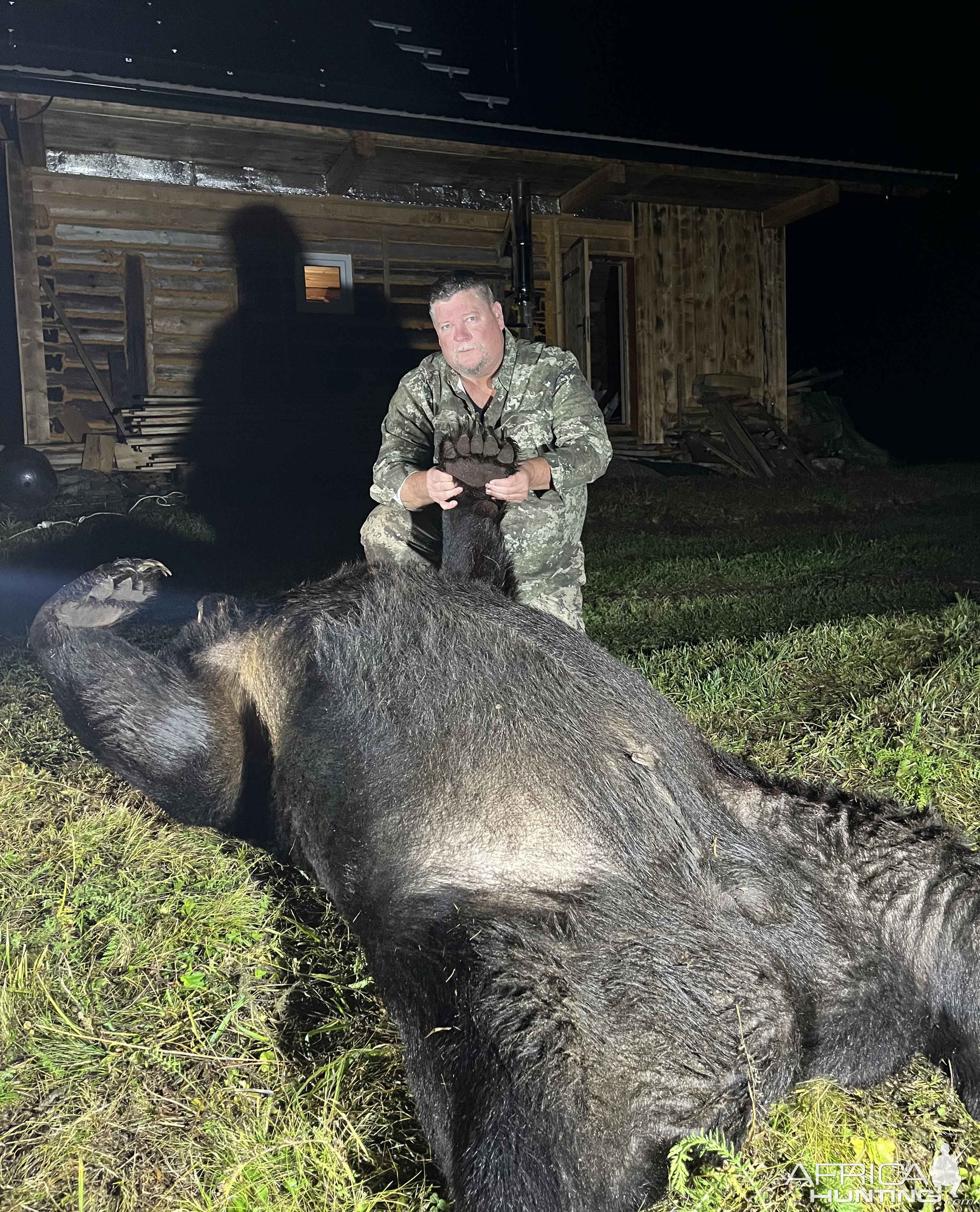 Brown Bear Hunt Romania