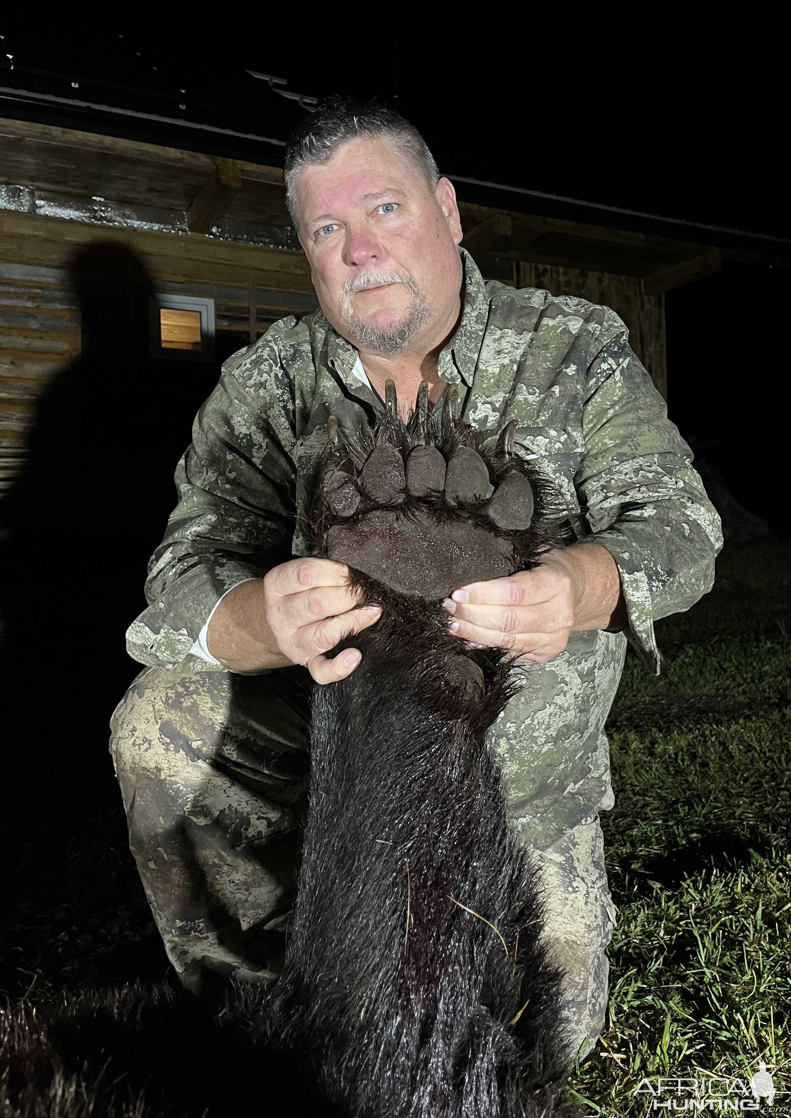 Brown Bear Hunt Romania