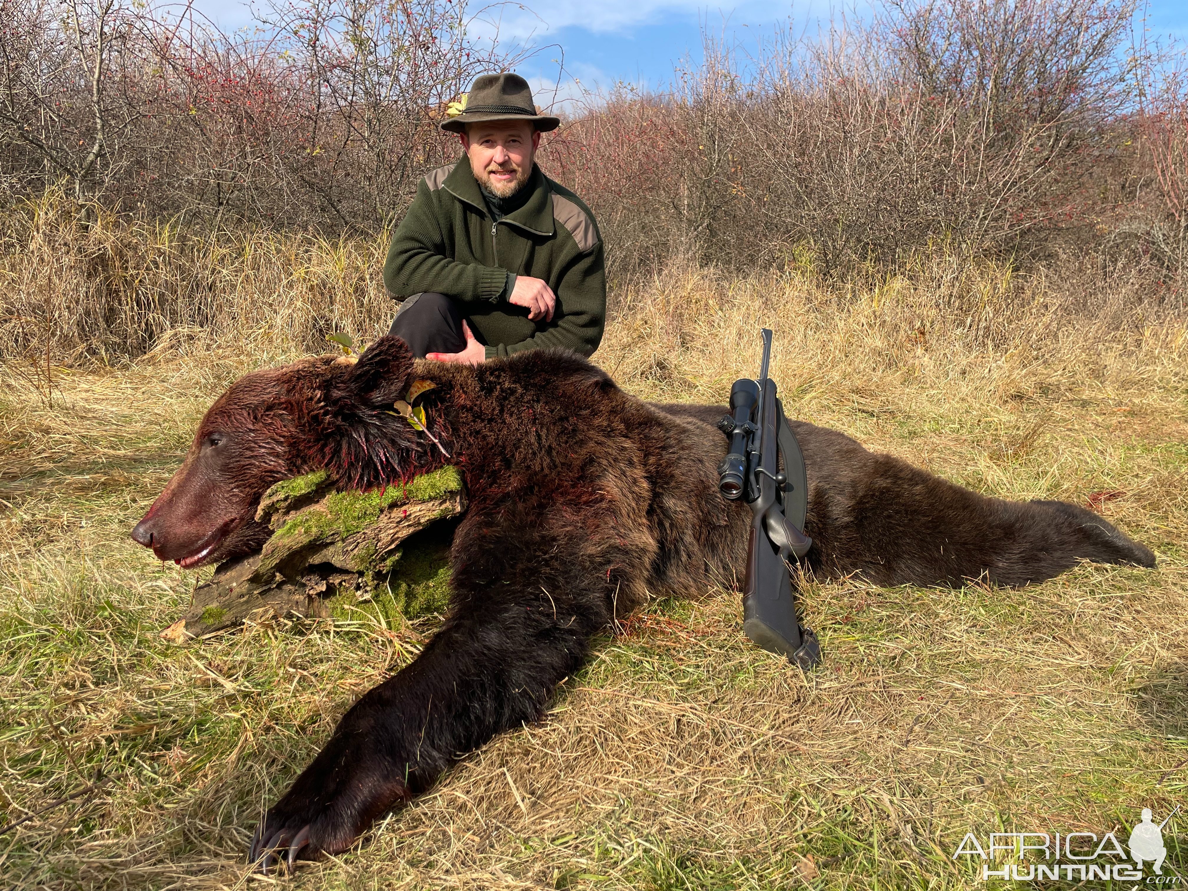 Brown Bear Hunt Romania