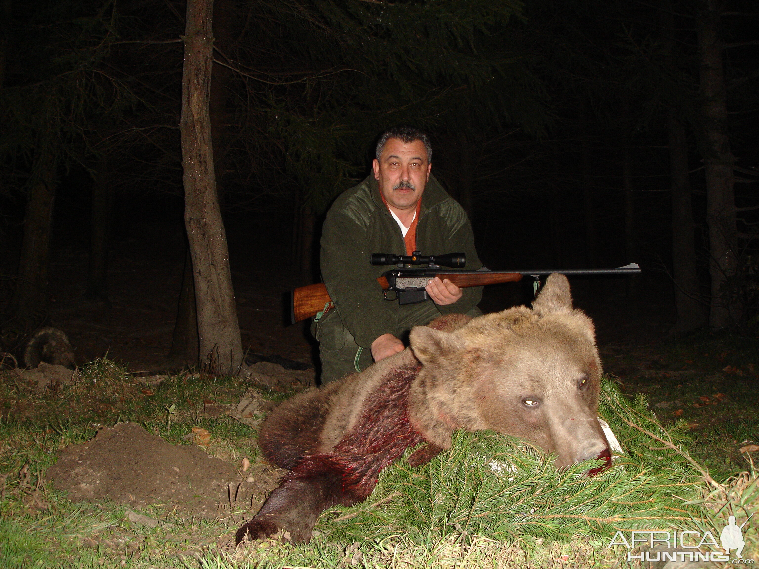 Brown Bear hunted in 2010 in Romania