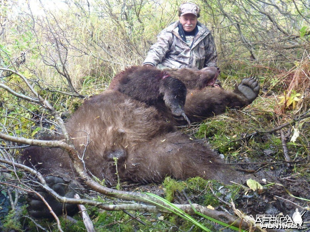 Brown Bear Hunting at Togiak Lake in Alaska