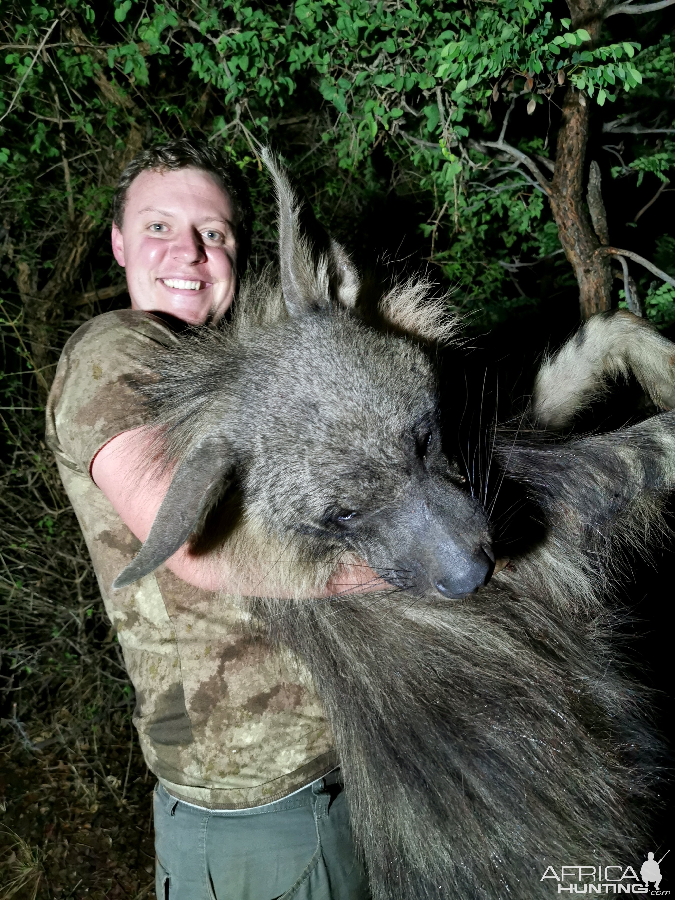 Brown Hyena Hunt South Africa