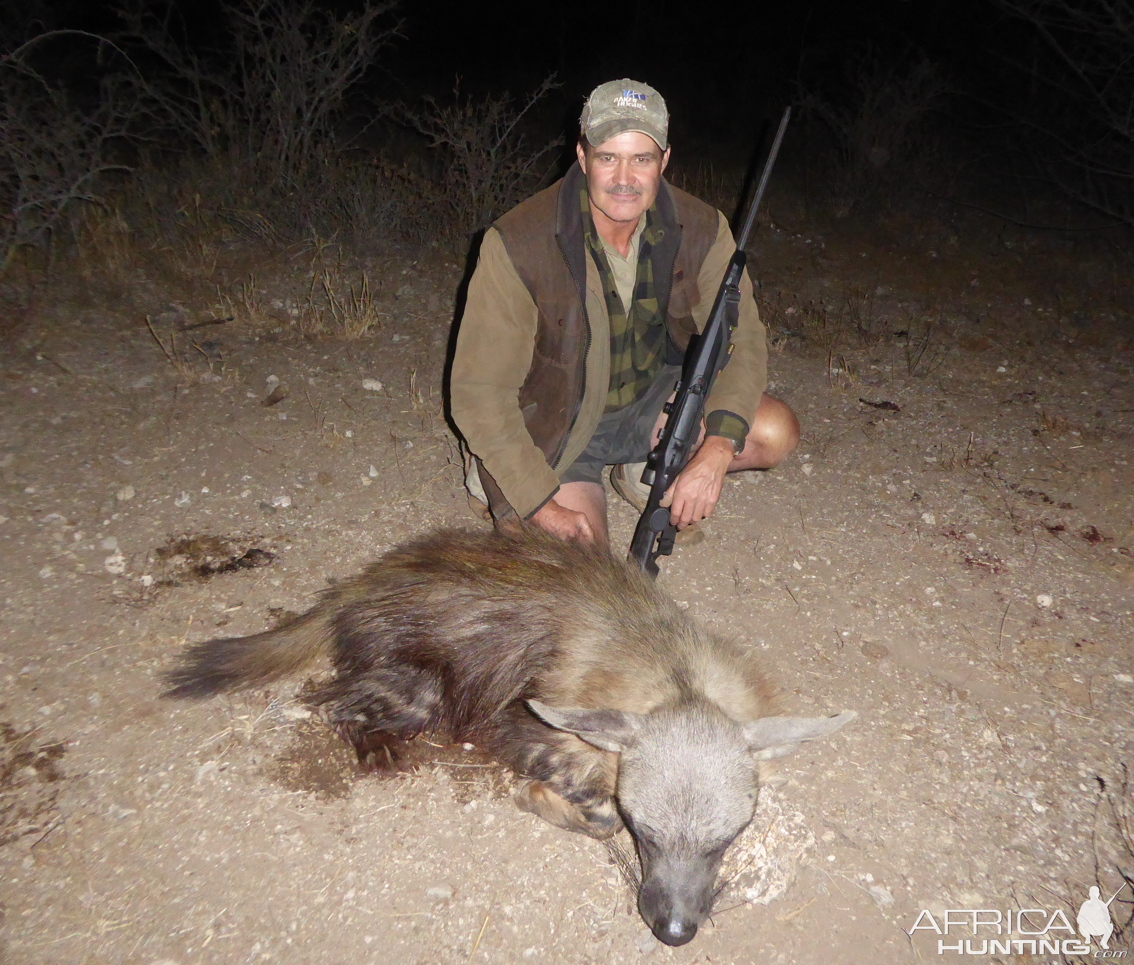 Brown Hyena Hunt