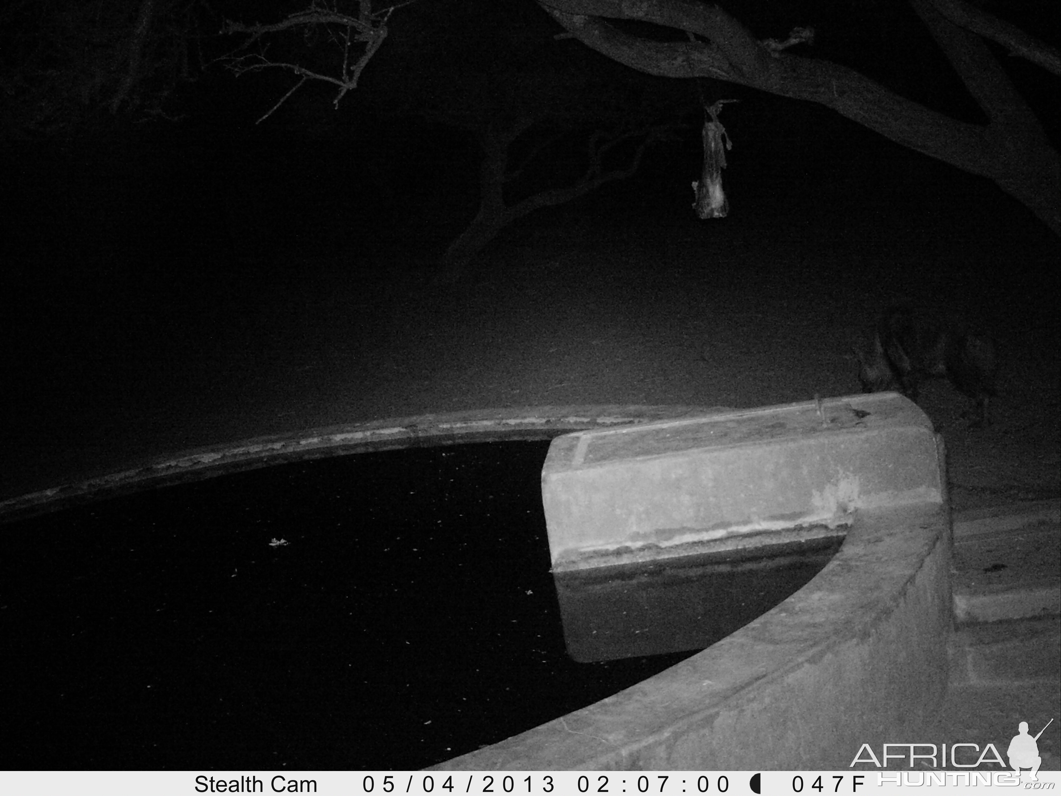 Brown Hyena Trail Camera