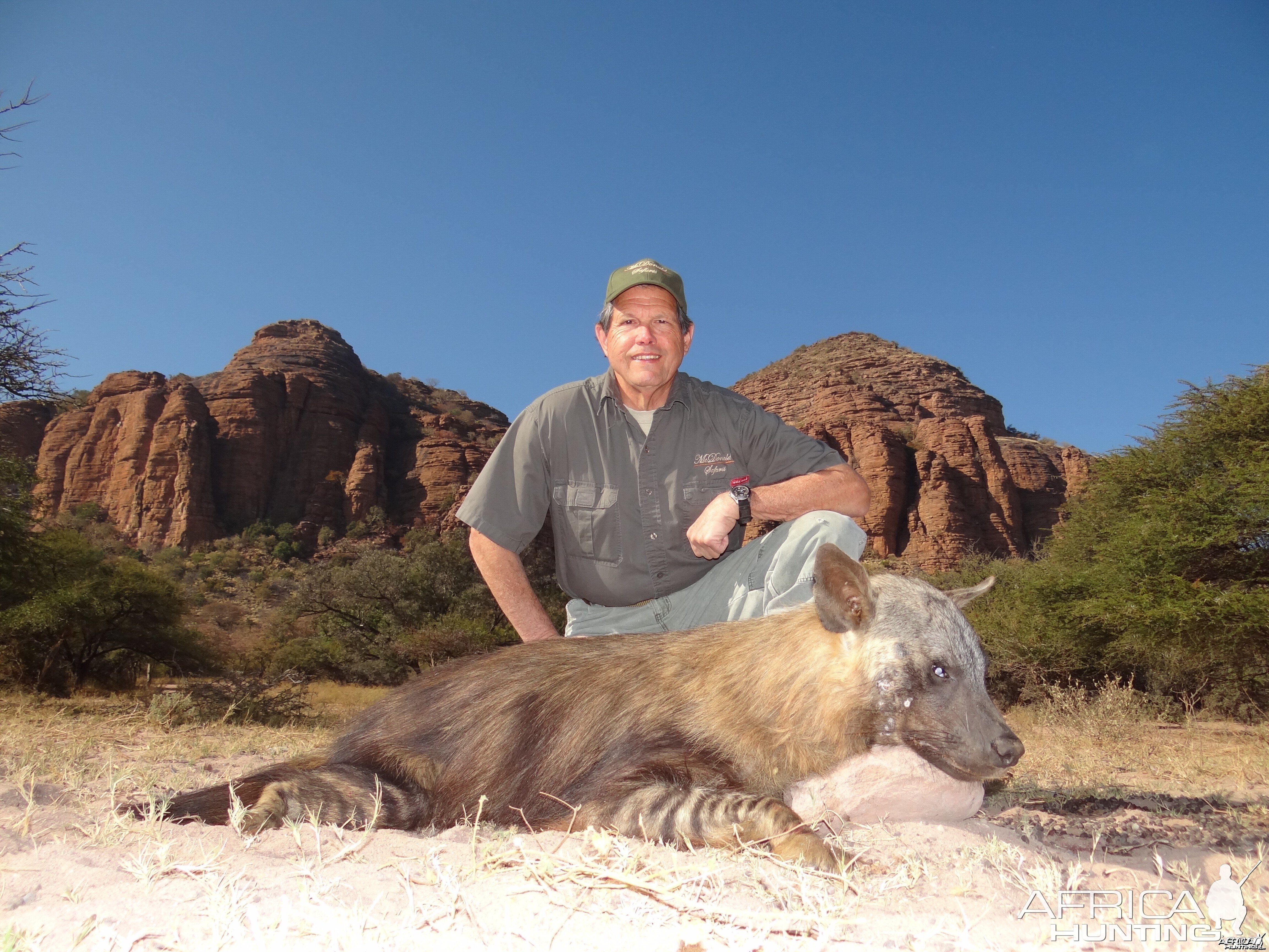 Brown Hyena