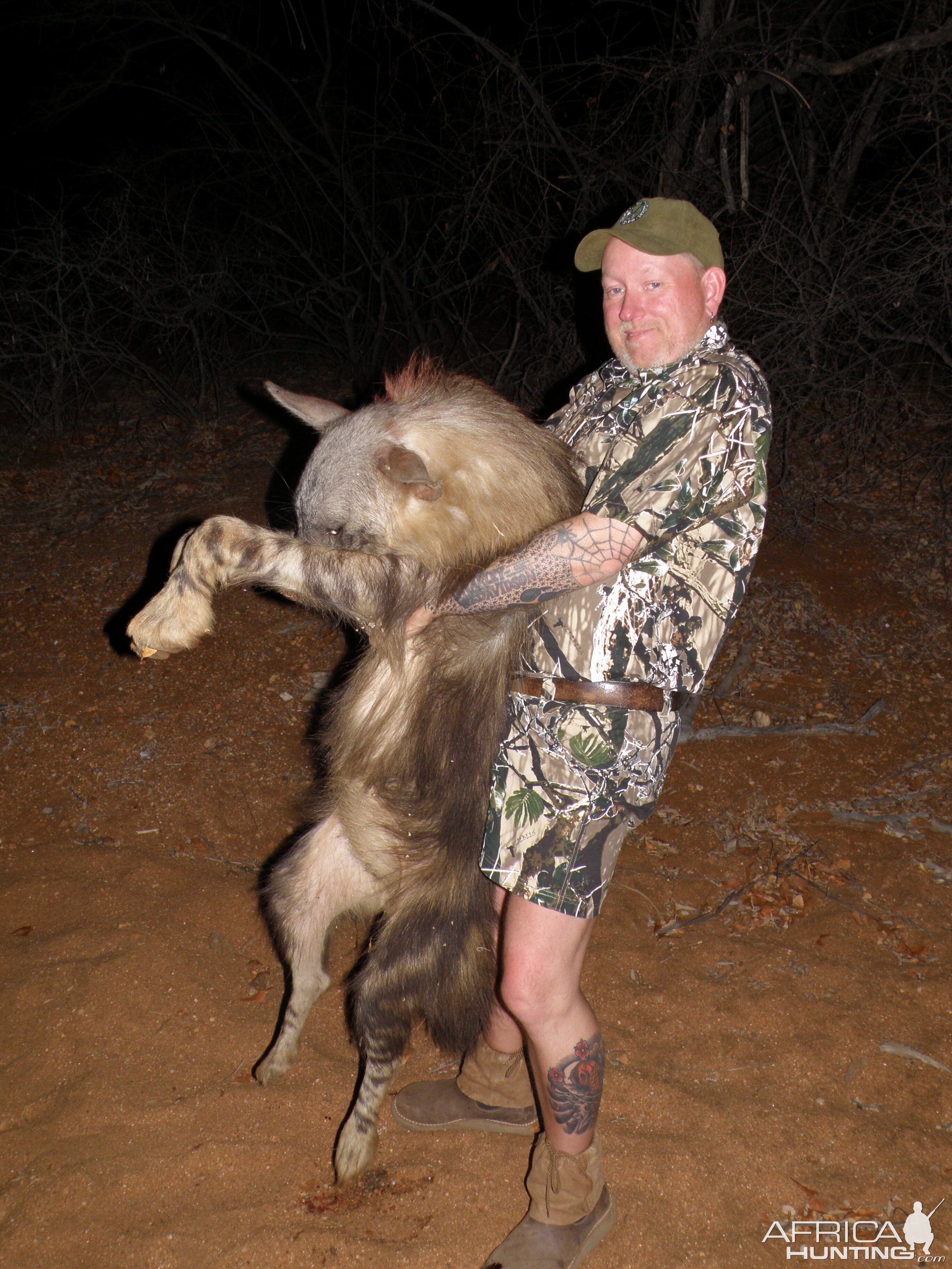 Brown Hyena