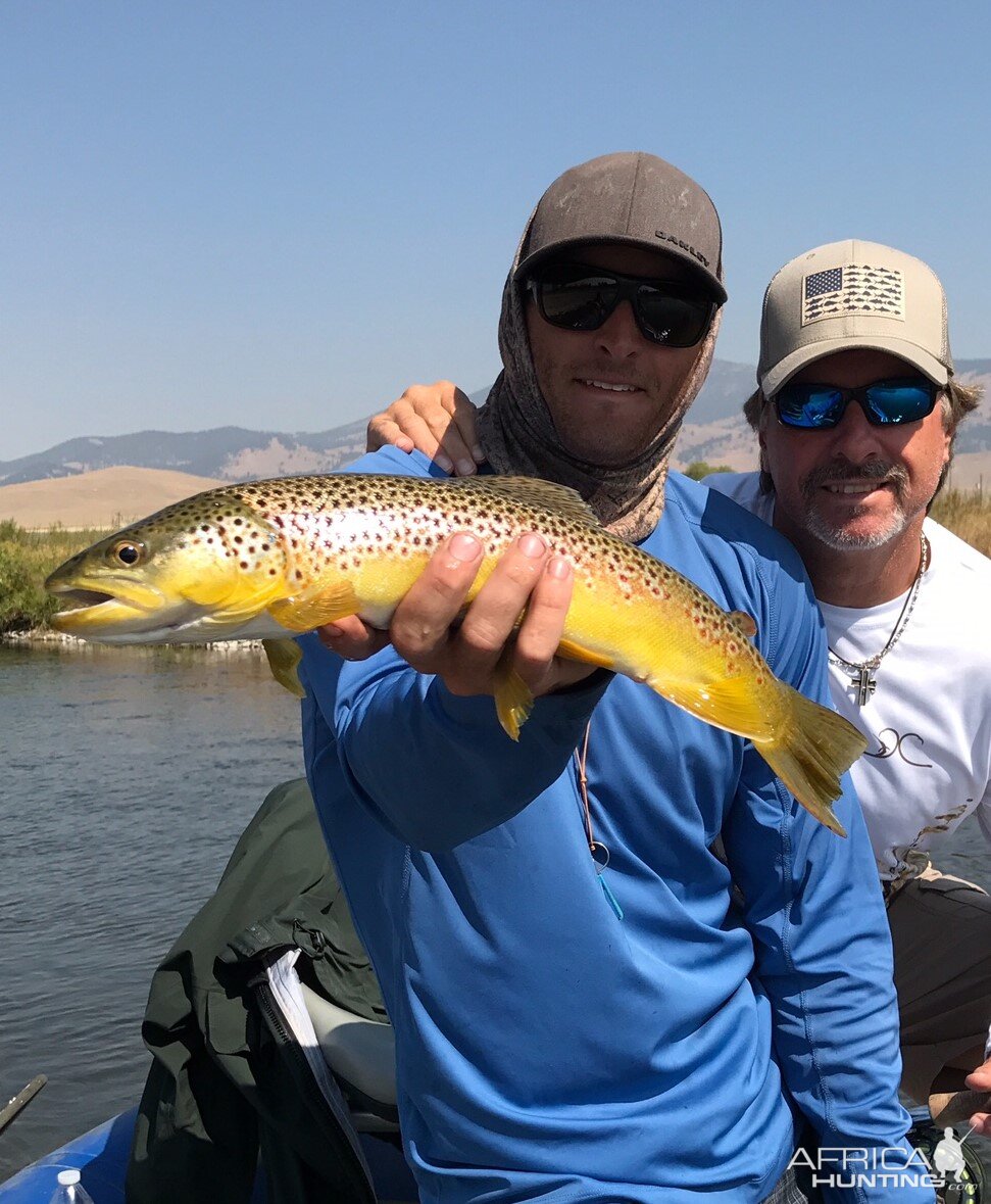 Brown Trout Fishing Montana