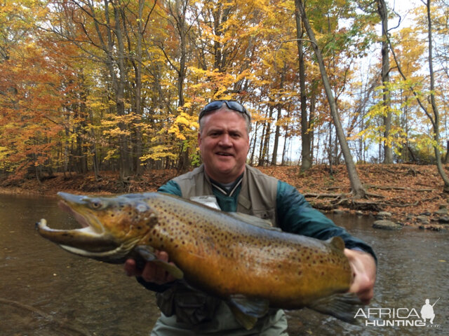 Brown Trout Fishing