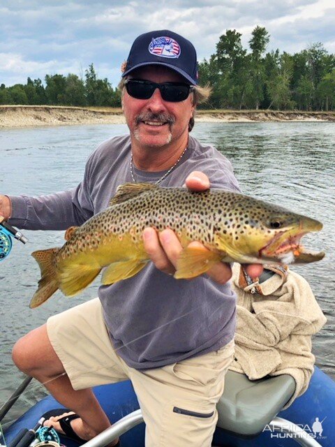 Brown Trout Fly Fishing Montana, Idaho & Wyoming USA