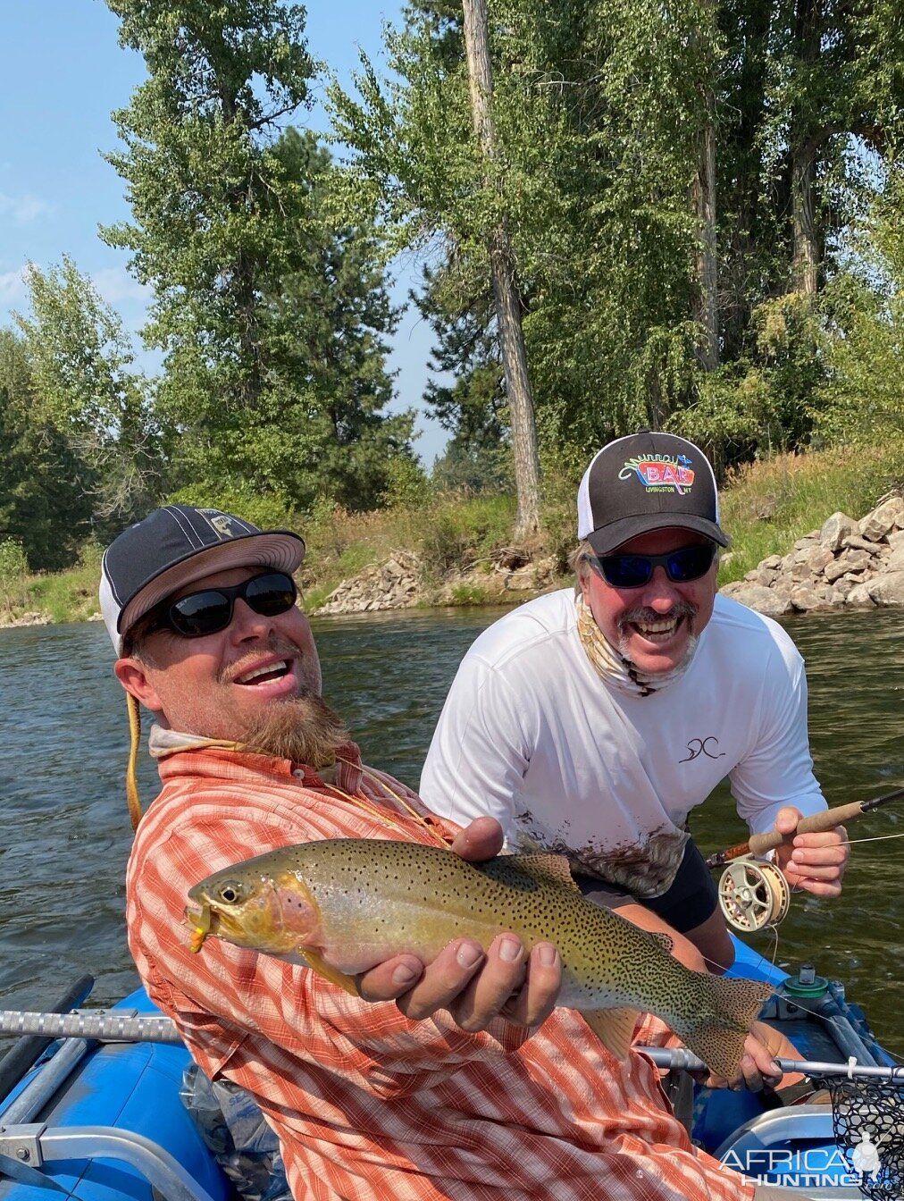 Brown Trout Fly Fishing Montana USA