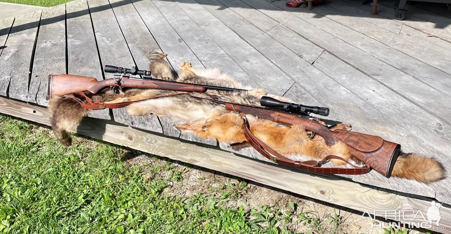 Browning Medallion Grade In 308 & Safari Grade in 375 Rifles