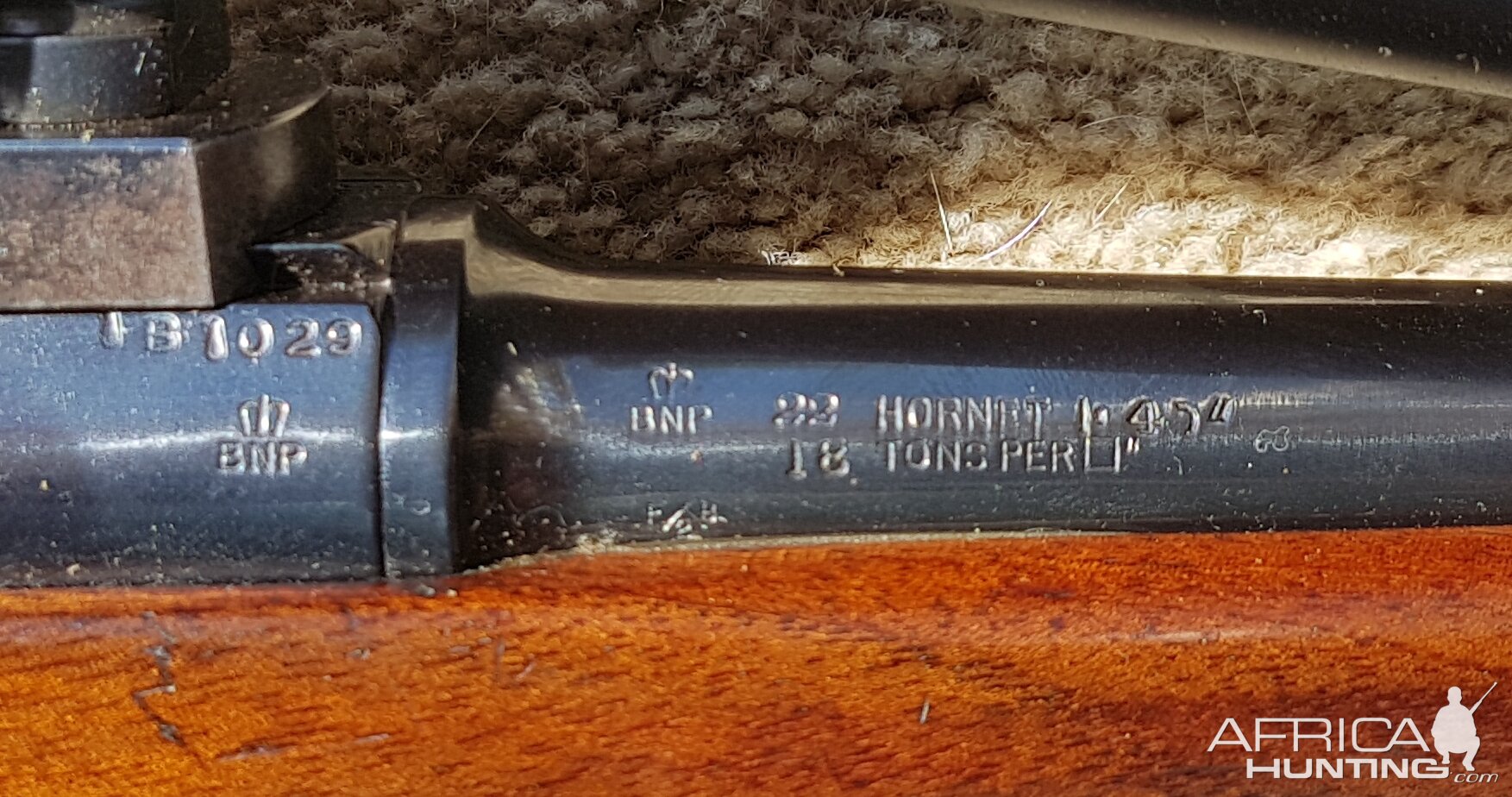 BSA .22 Hornet Rifle