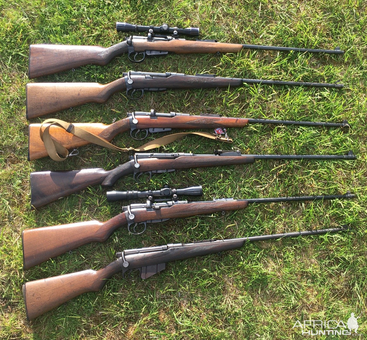 BSA Sporter Rifles