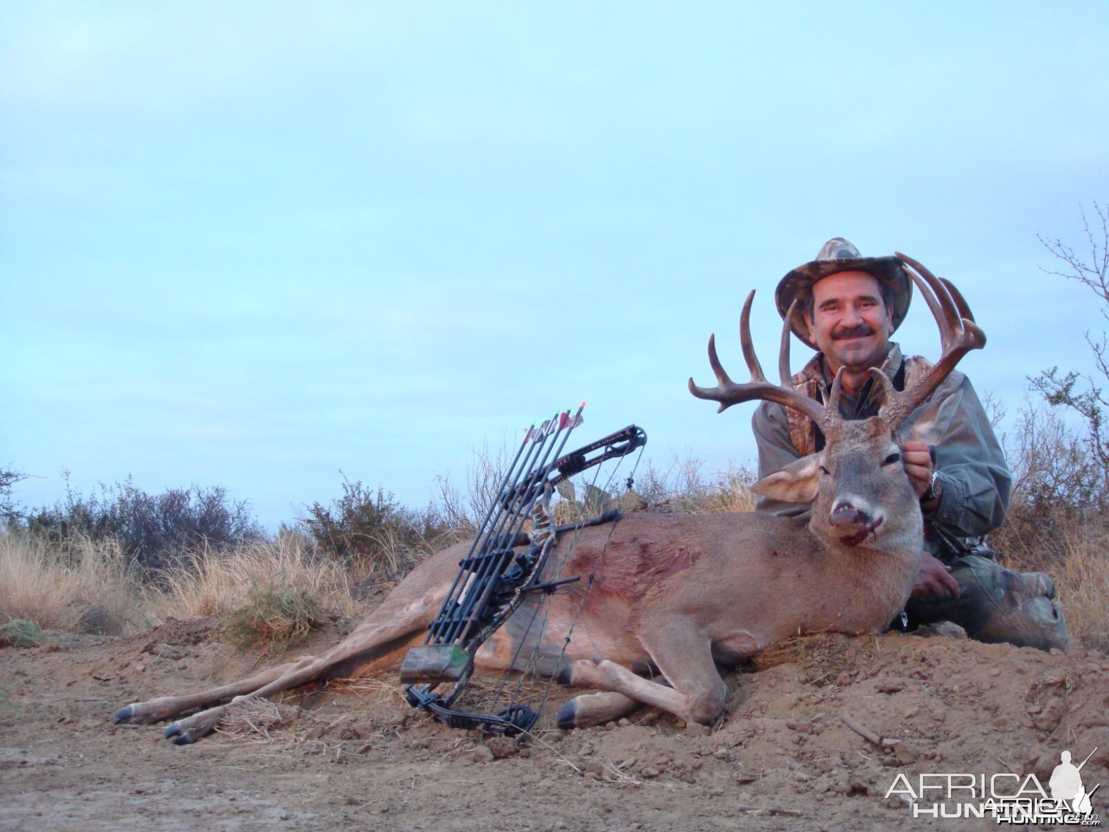 Buck North of Mexico