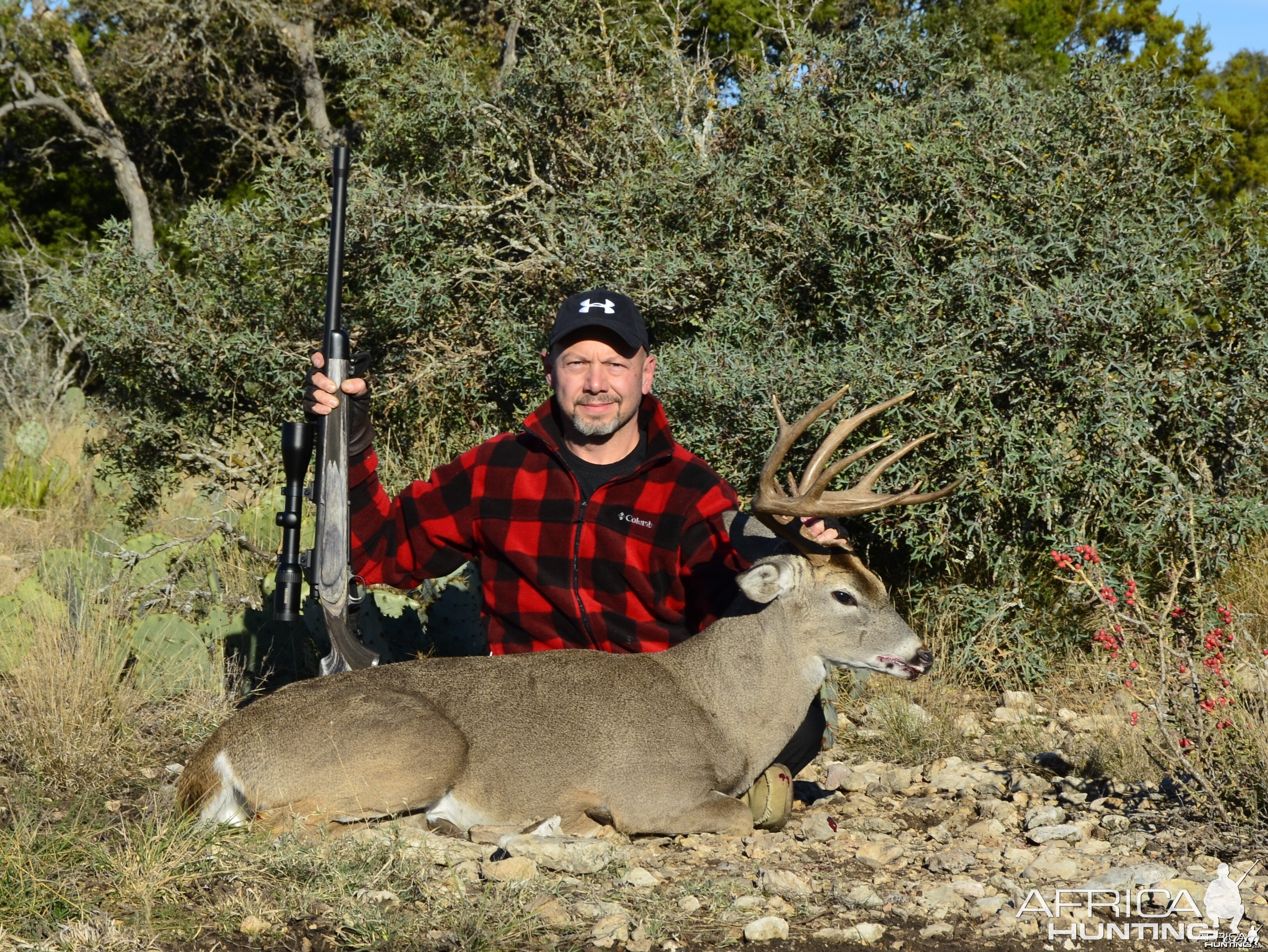 Buck Thanksgiving 2013 Texas Hill Country