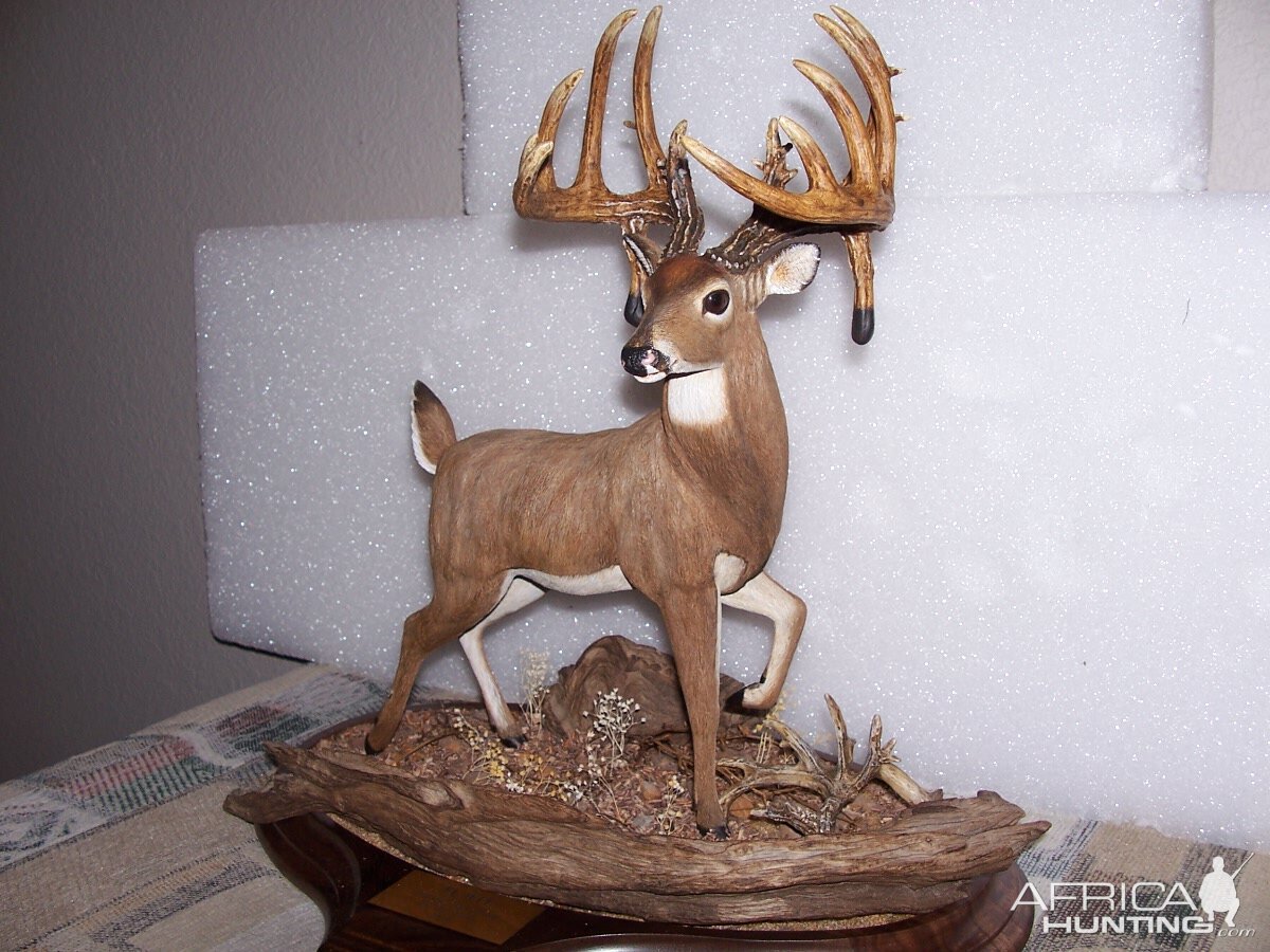 Buck Wood Carving