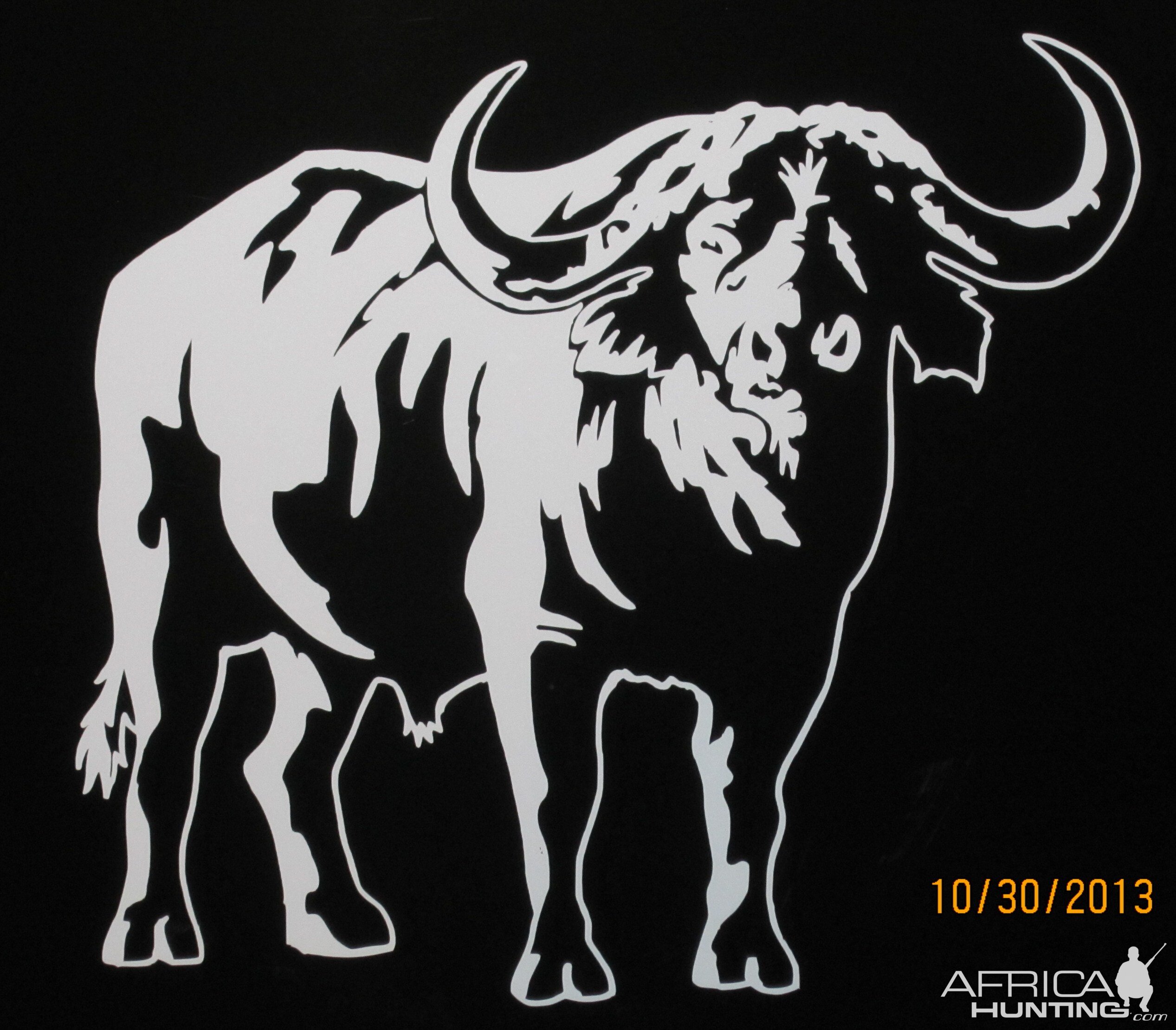 Bufalo Decal Stickers