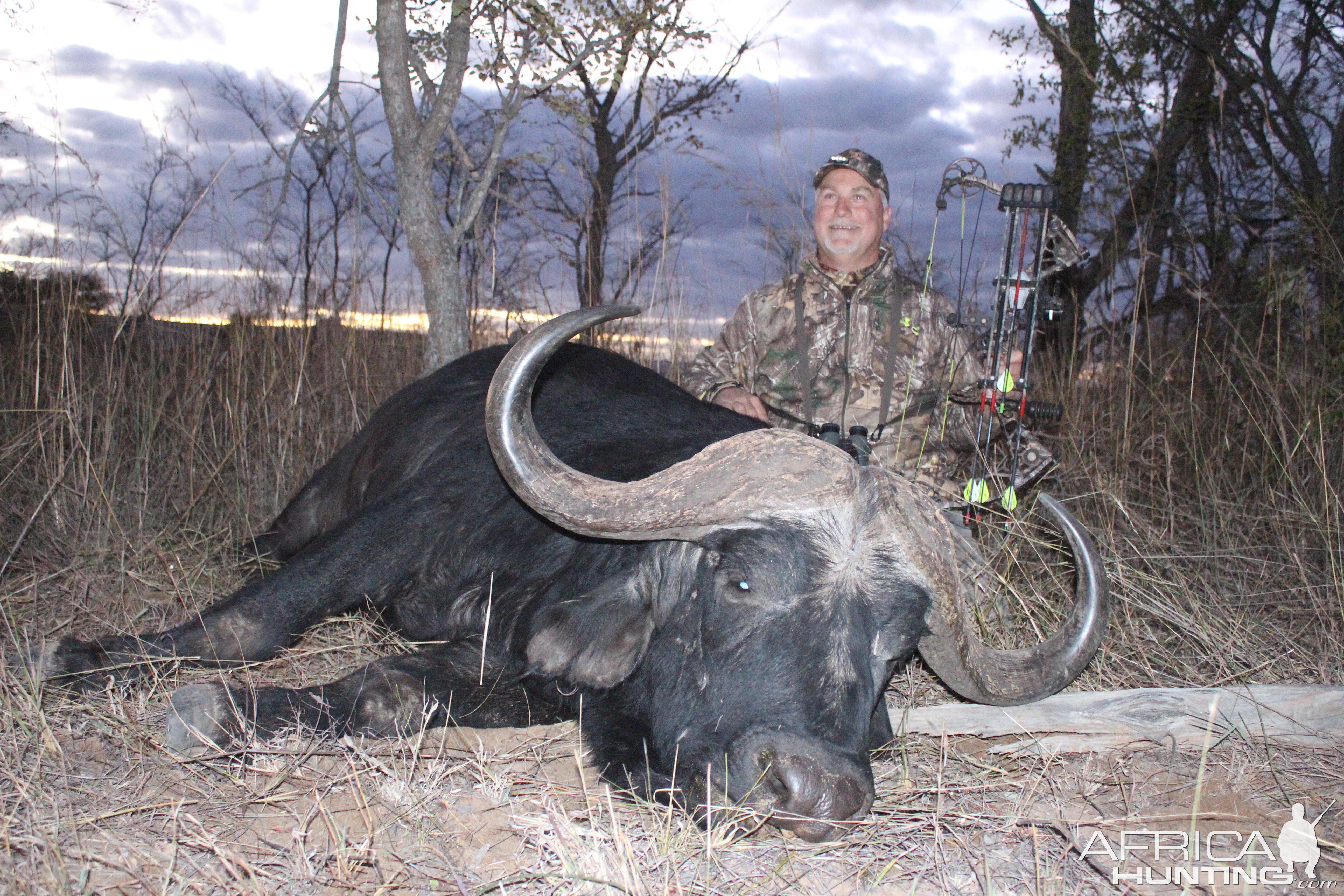 Buffalo Bow Hunt Mpumalanga South Africa