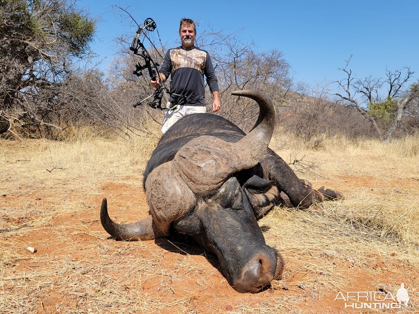 Buffalo Bow Hunt South Africa