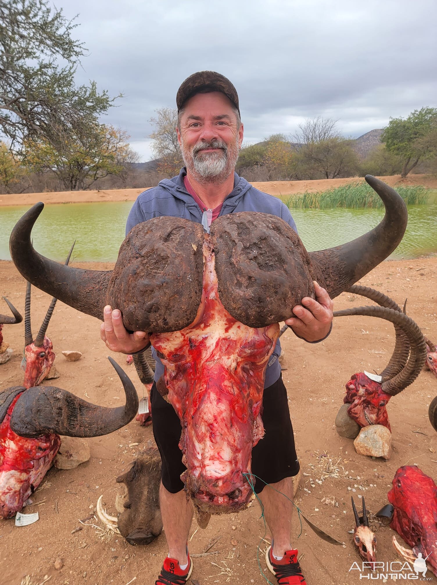 Buffalo Bow Hunt South Africa