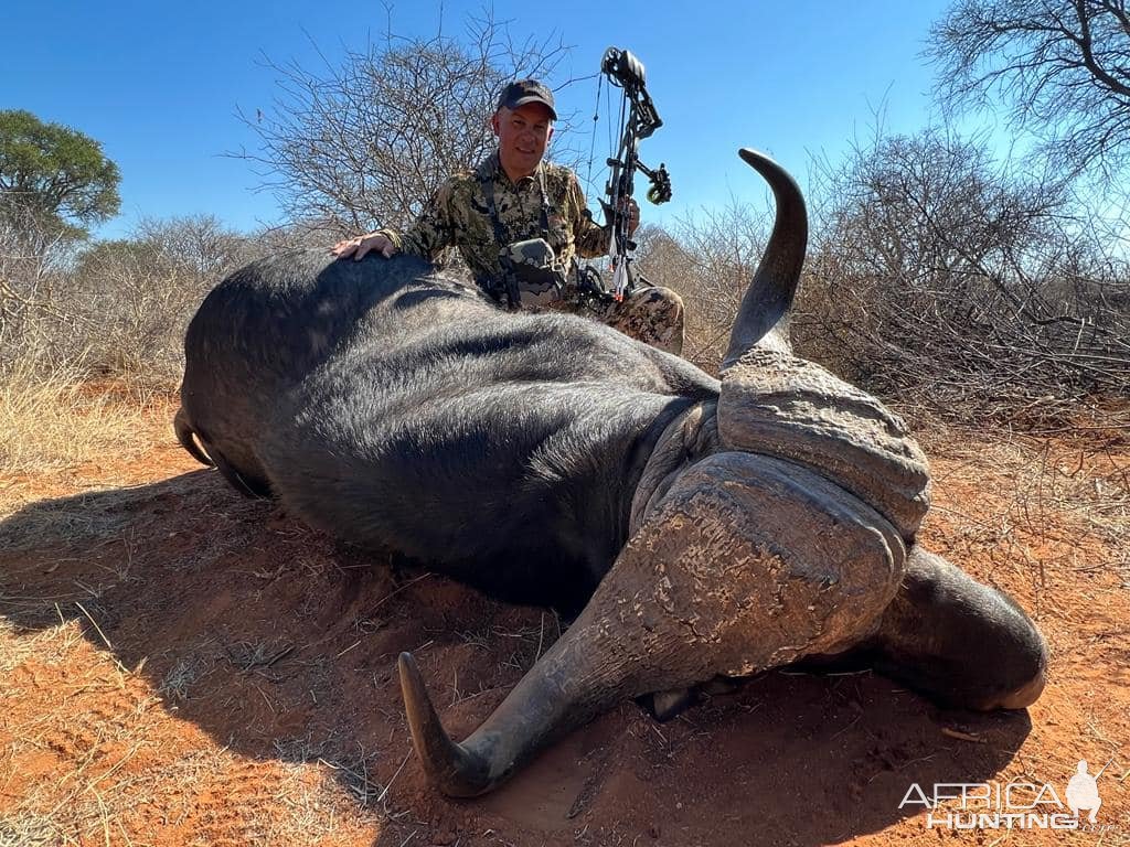 Buffalo Bow Hunt South Africa