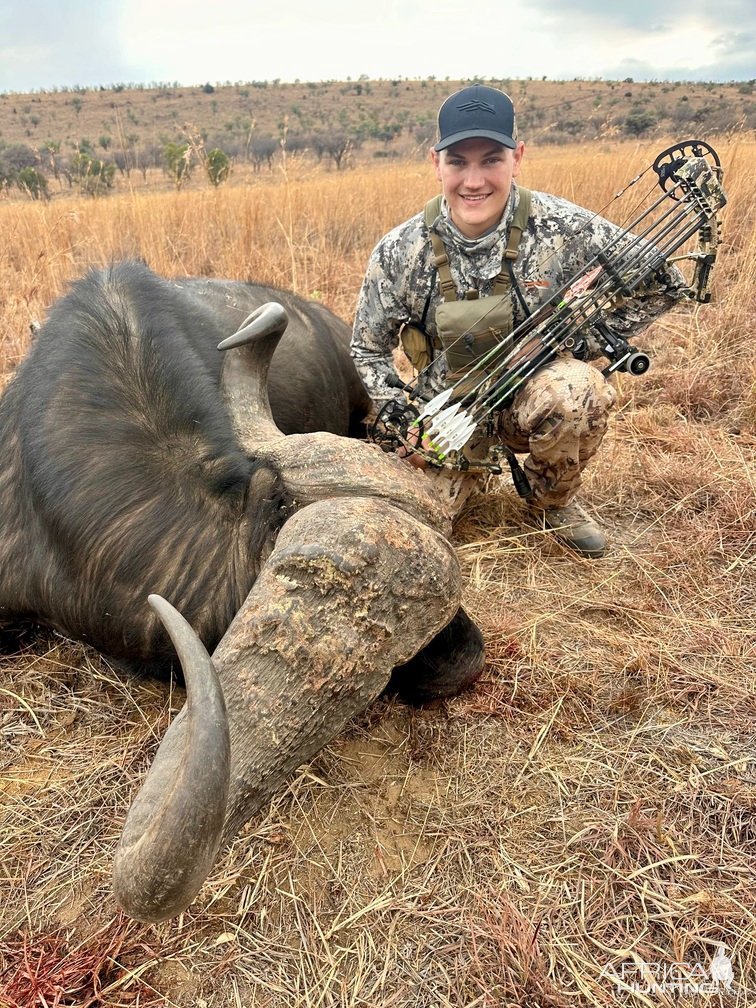 Buffalo Bow Hunt South Africa