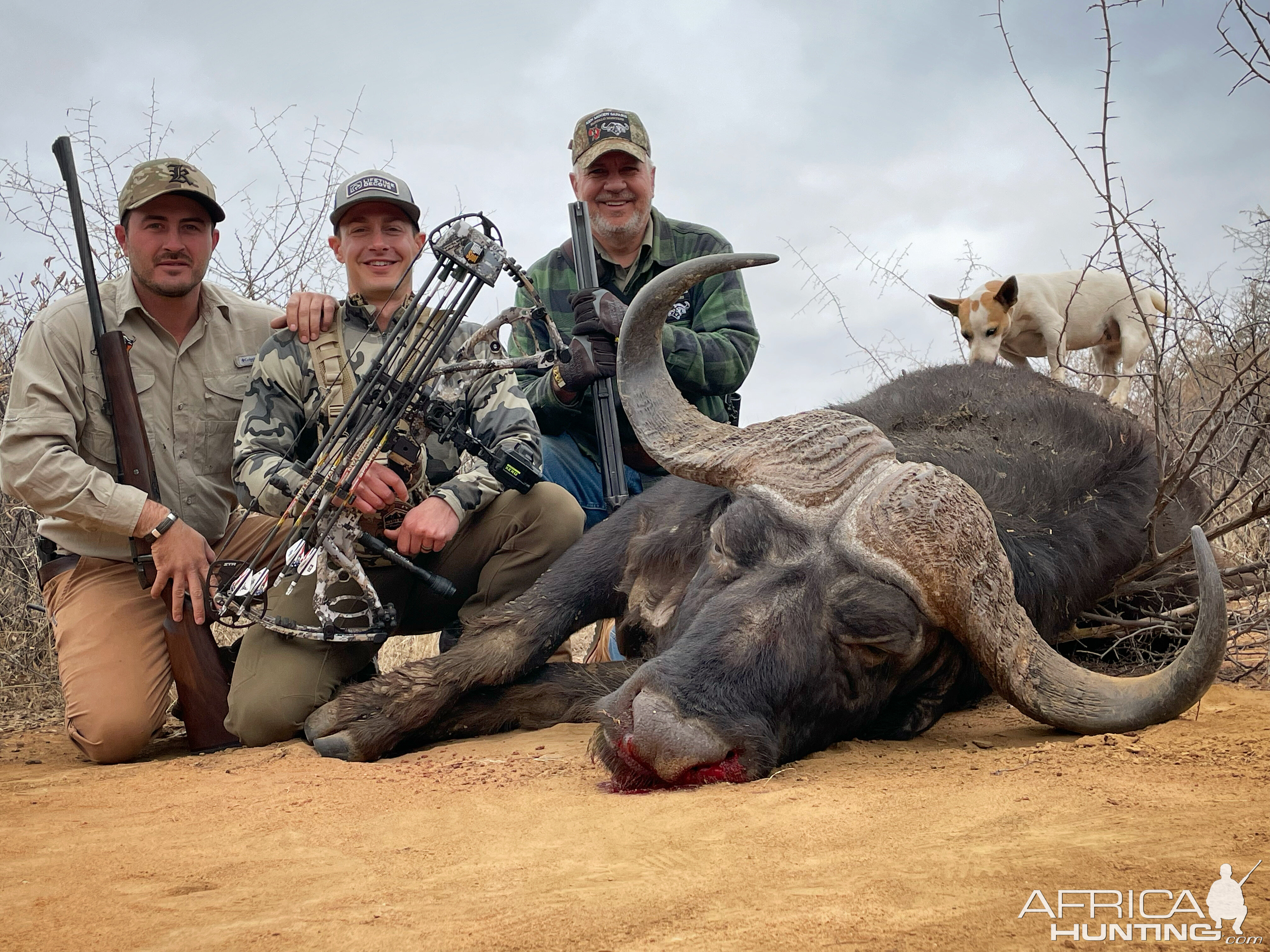 Buffalo Bow Hunting South Africa