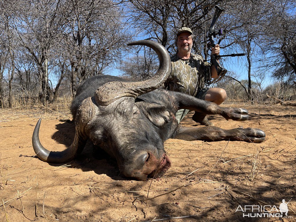 Buffalo Bow Hunting South Africa