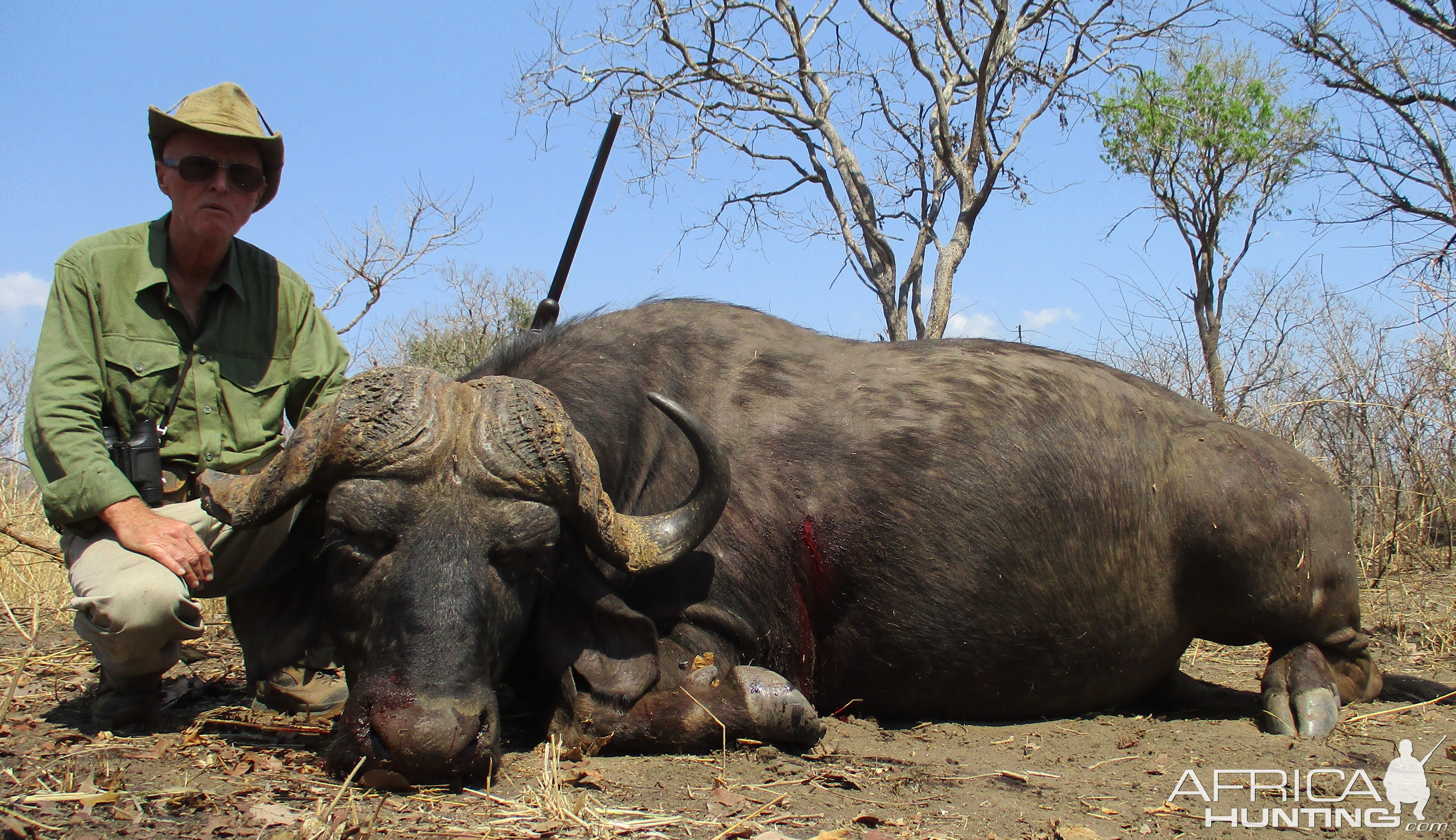 Buffalo Coutada 9 / República de Moçambique