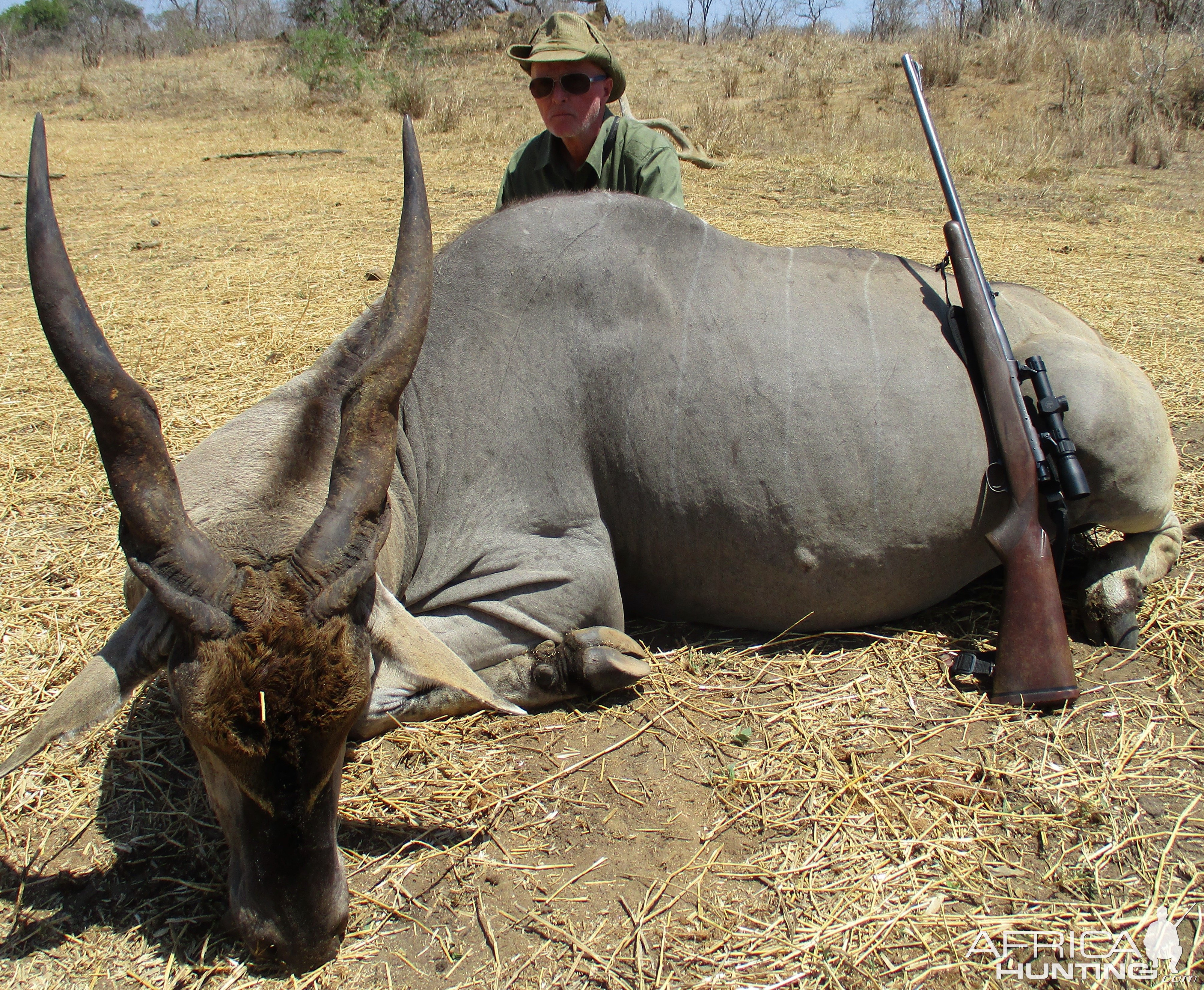 Buffalo Coutada 9 / República de Moçambique