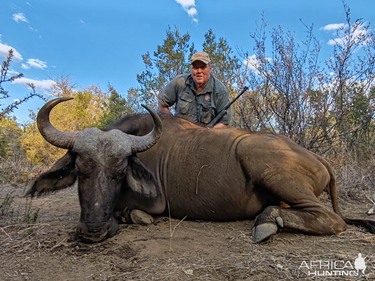 Buffalo Cow Hunt South Africa