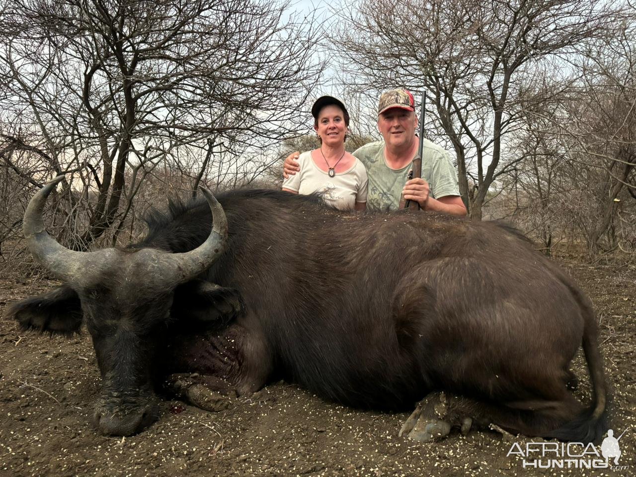 Buffalo Cow Hunt South Africa