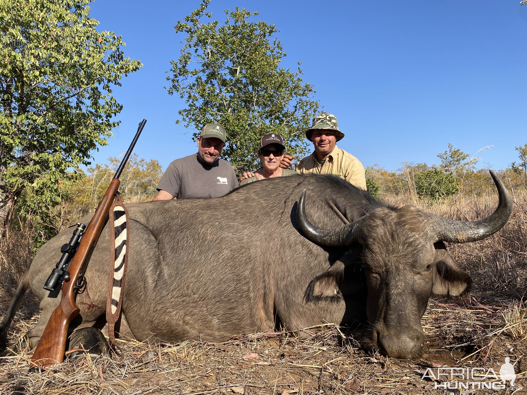 Buffalo Cow Hunt Zimbabwe