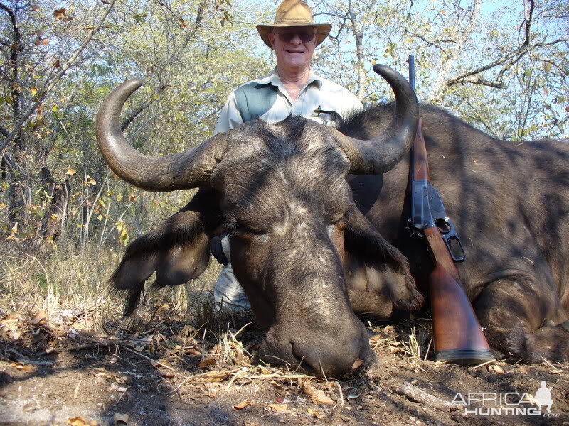 Buffalo Cow Hunt