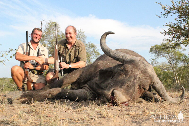 Buffalo Cow Hunting with Pro Hunting Safaris