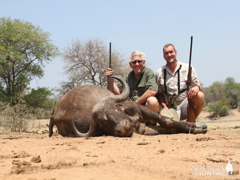 Buffalo Cow Hunting with Pro Hunting Safaris