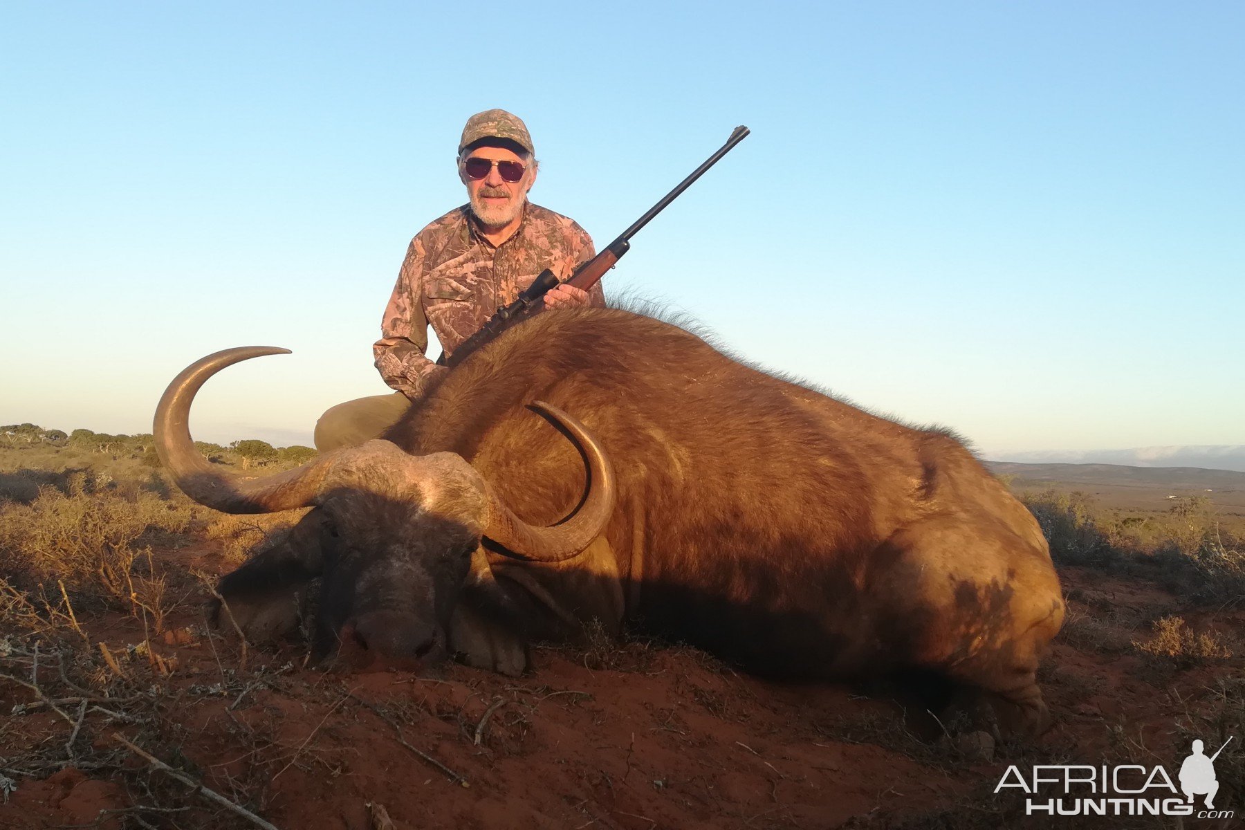 Buffalo Cow Hunting