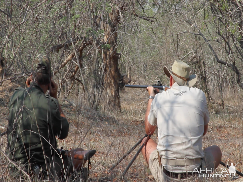 Buffalo Cow Hunting