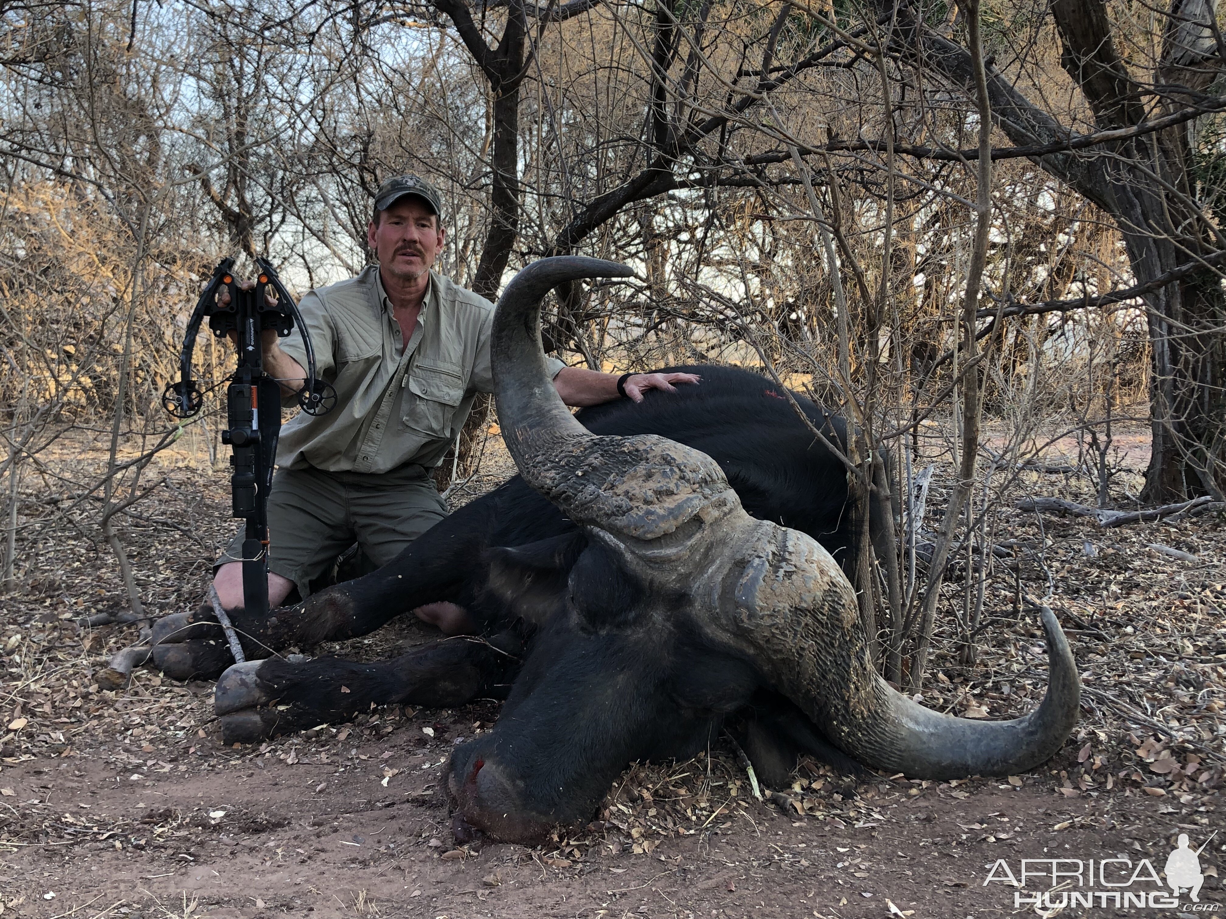 Buffalo Crossbow