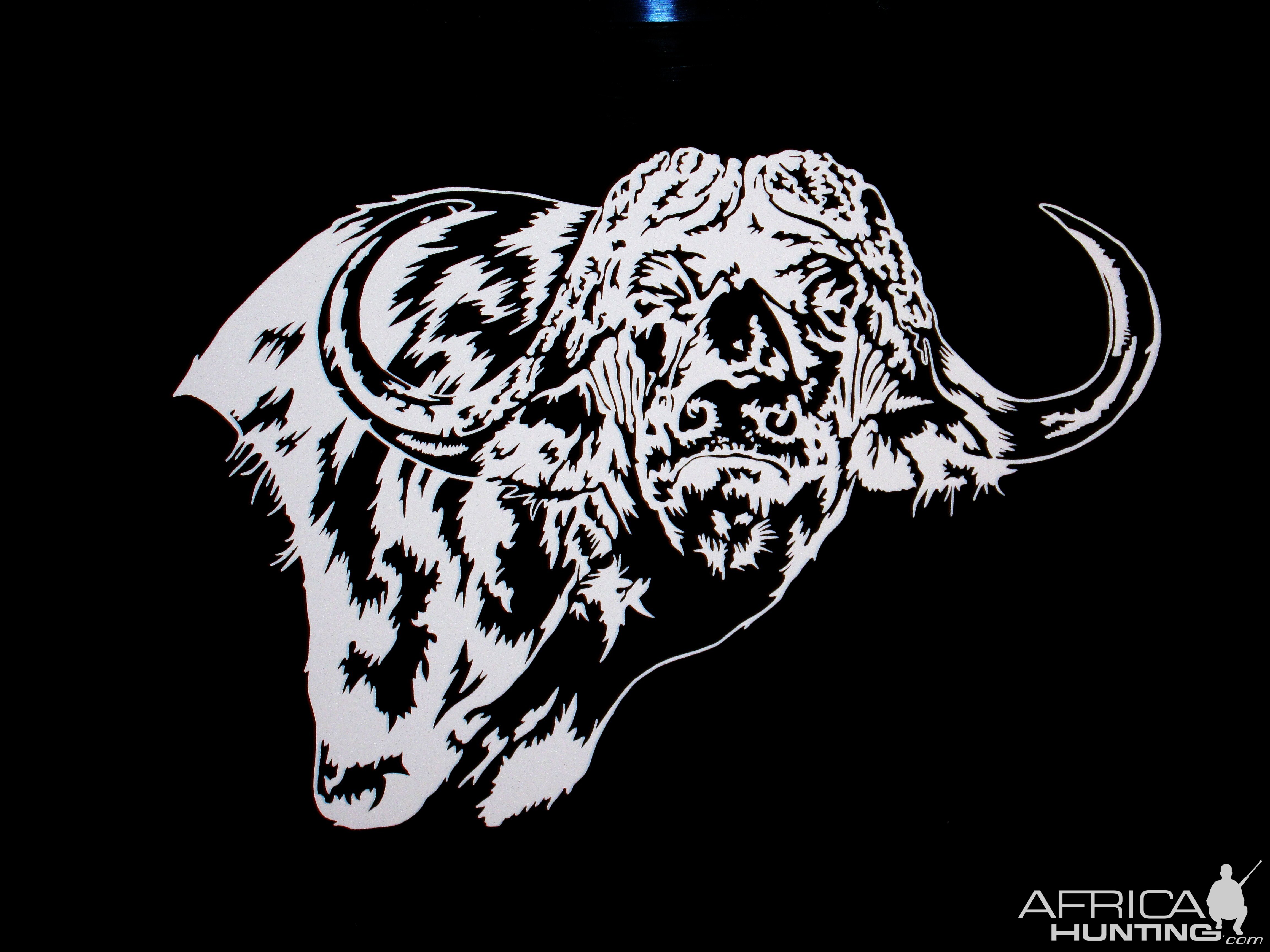 Buffalo Decal Stickers