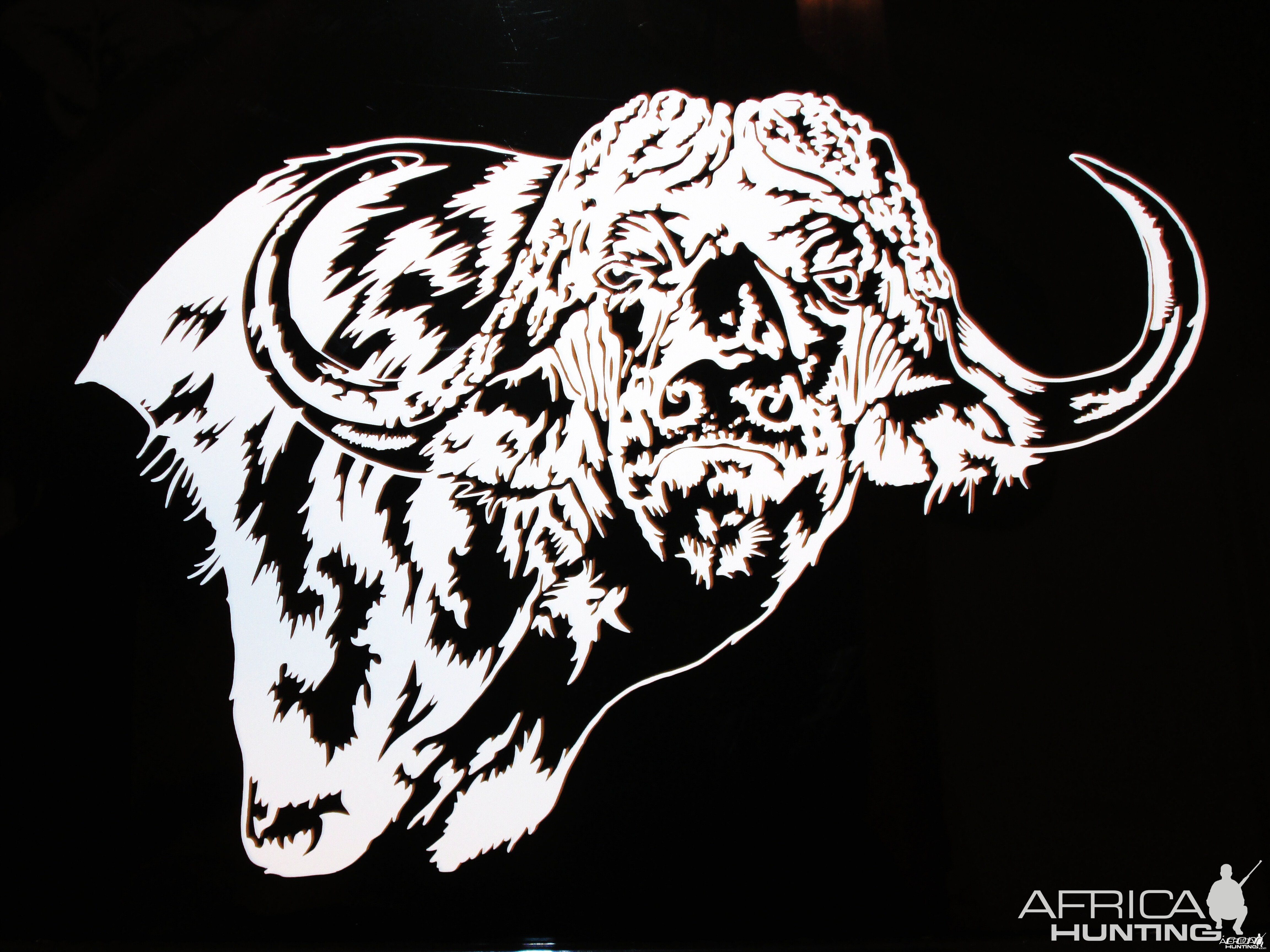 Buffalo Decal Stickers