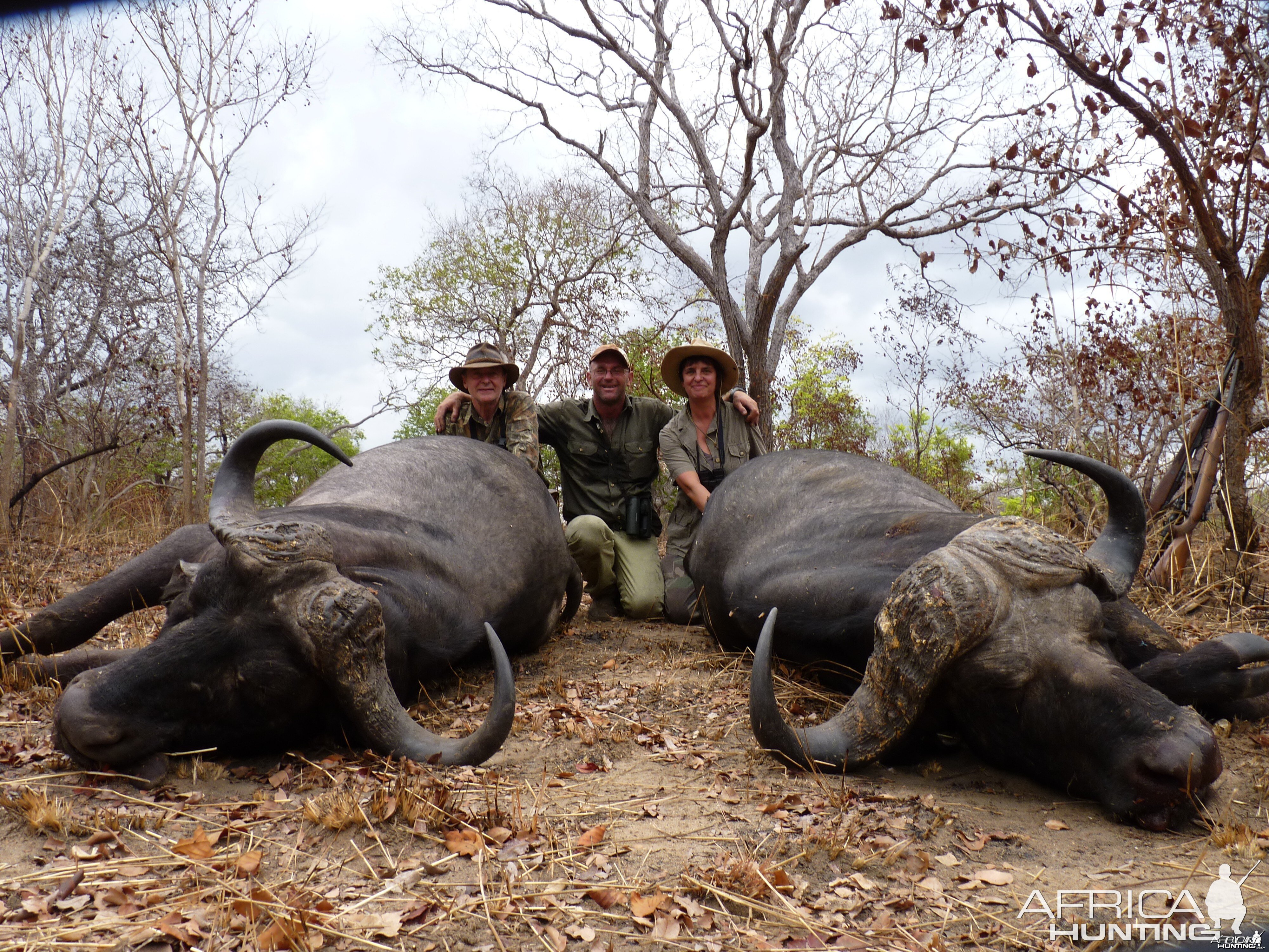 Buffalo double - Wife and husband