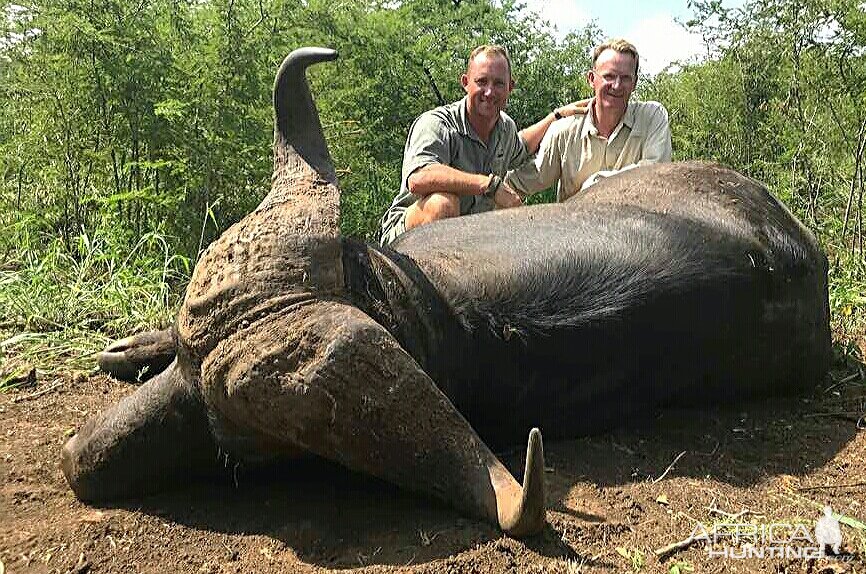 Buffalo down, first safari for 2017, one happy Hunter!